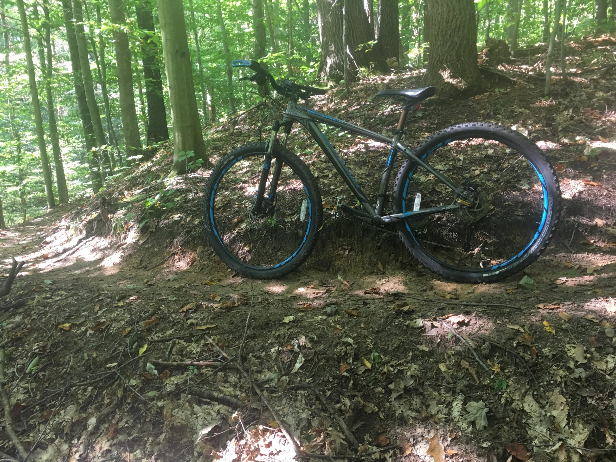 A mountain bike rests on a dirt trail surrounded by lush green trees in a forest. Sunlight filters through the leaves, casting dappled shadows on the ground. The bike features a sleek frame with blue accents and is positioned on an incline with leaves and small twigs scattered around. Great Bear mountain bike trail.