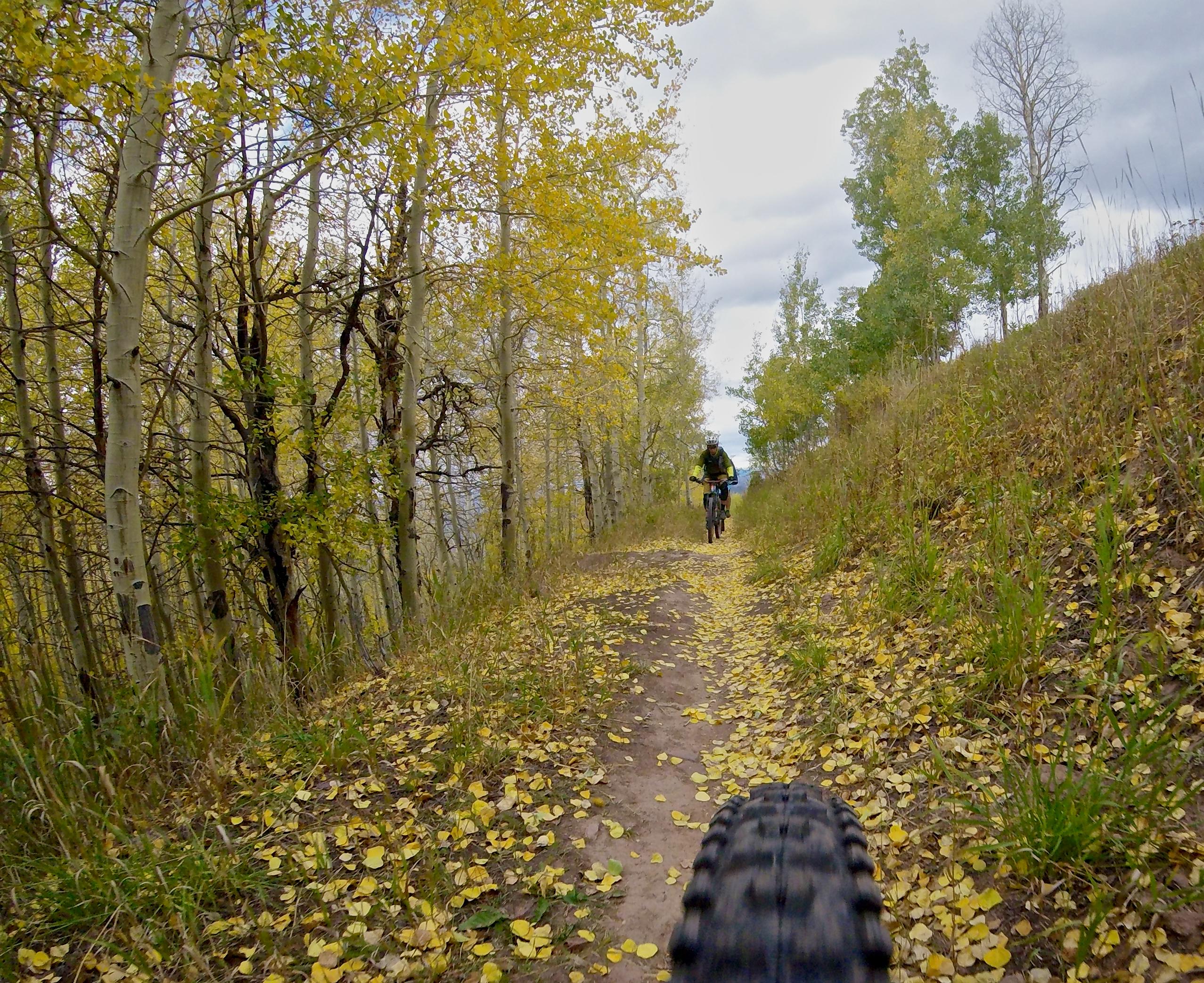 A mountain biker rides along a forest trail covered in yellow autumn leaves. Tall trees with green and yellow foliage line the path, creating a vibrant, natural setting. The image is taken from a low perspective, showing a bicycle tire in the foreground and the trail leading into the distance. Cloudy skies are visible above, hinting at changing weather. Vail Mountain Bike Park mountain bike trail.