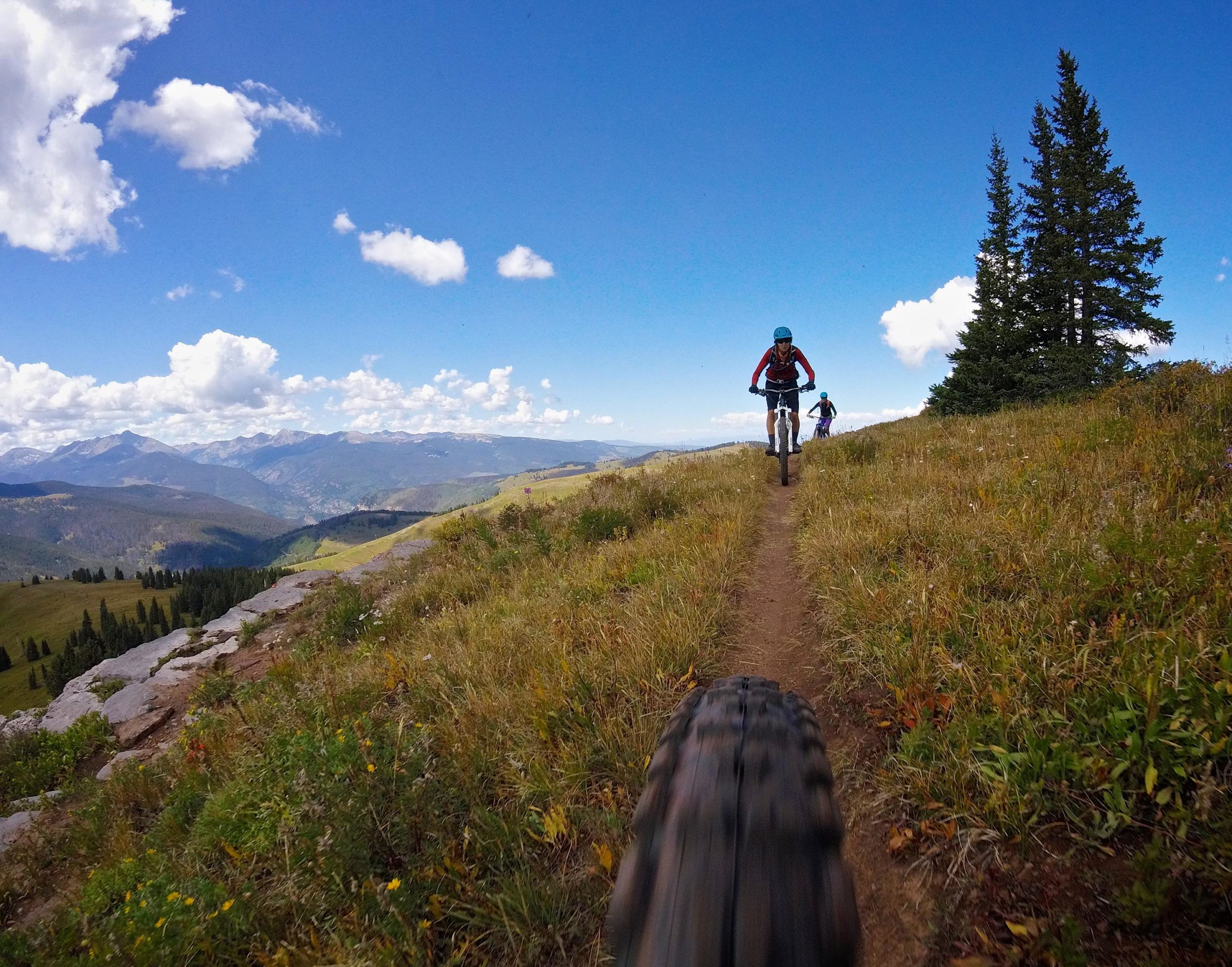 Mountain bikers riding on a dirt trail through a grassy landscape, with mountains and a blue sky in the background. Two Elk via Vail Pass mountain bike trail.