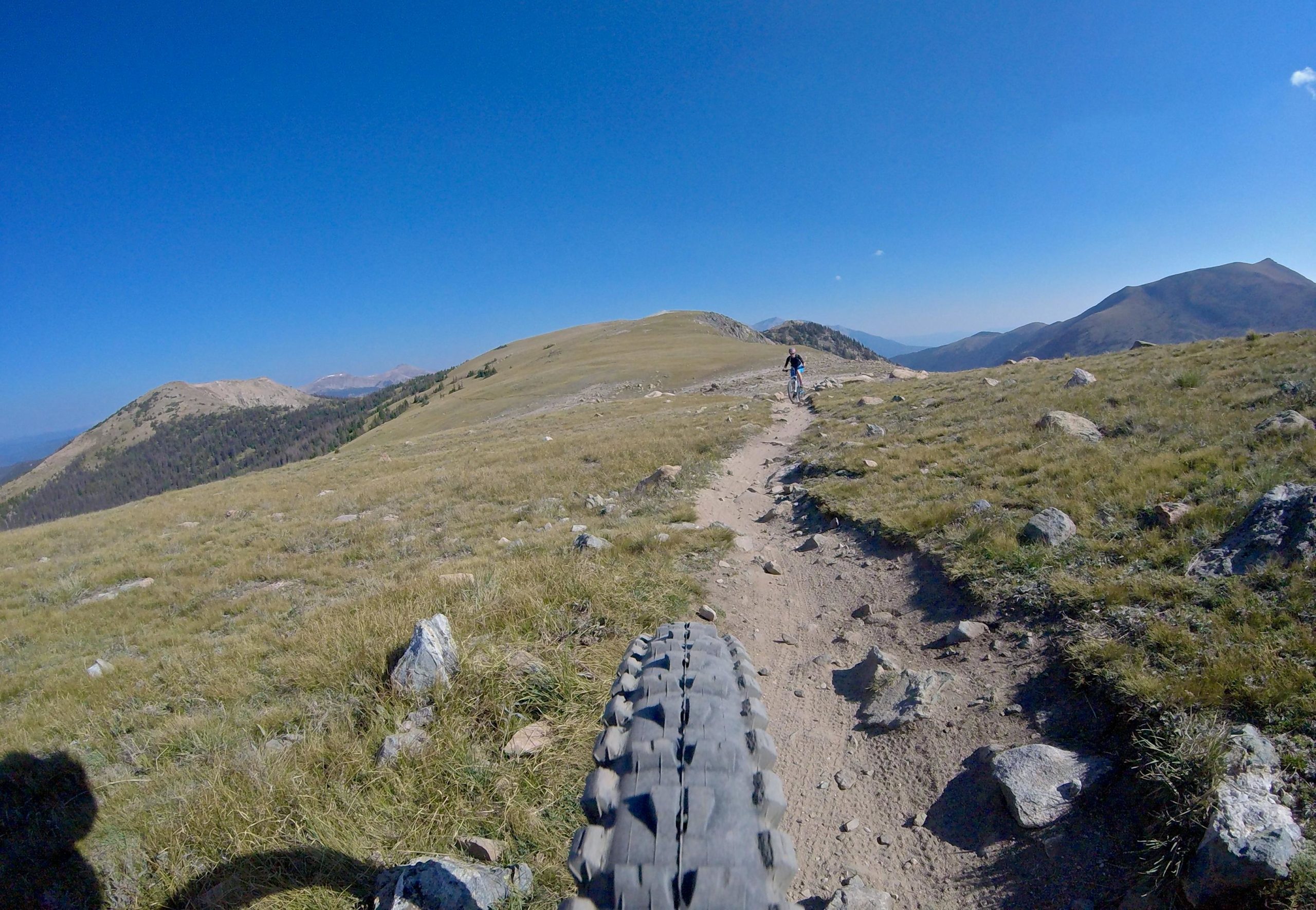 A mountain biker riding along a dirt trail through a grassy landscape with rocky outcrops and rolling hills, under a clear blue sky. Monarch Crest Trail mountain bike trail.