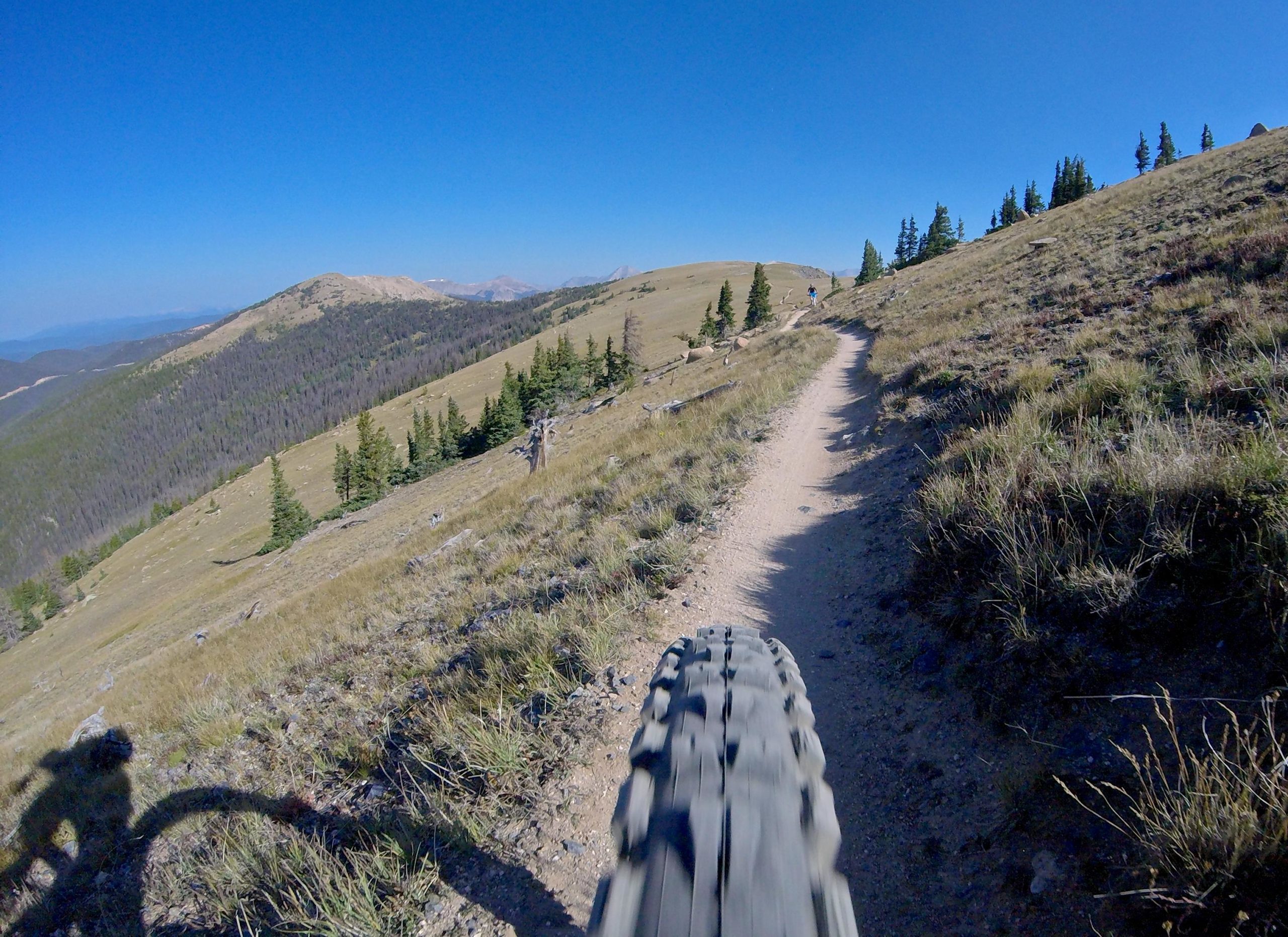 A close-up view of a mountain bike tire on a dirt trail winding through a grassy hillside with pine trees and distant mountains under a clear blue sky. Shadows of the bike and rider are visible, conveying a sense of motion and adventure in an outdoor setting. Monarch Crest Trail mountain bike trail.