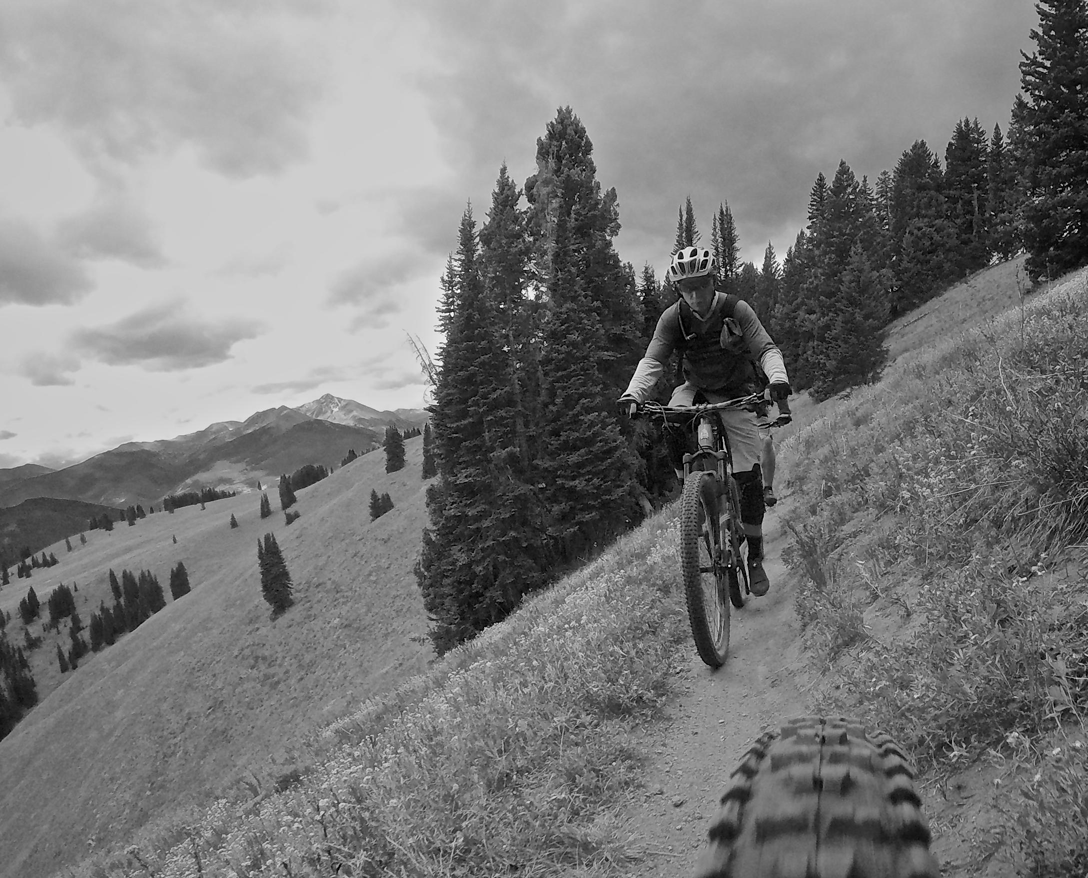 A black and white image of a mountain biker navigating a trail through a scenic mountain landscape. The foreground features the front wheel of the bike, while the rider, wearing a helmet and backpack, is seen pedaling along a dirt path surrounded by tall pine trees and distant mountains under a cloudy sky. Vail Mountain Bike Park mountain bike trail.