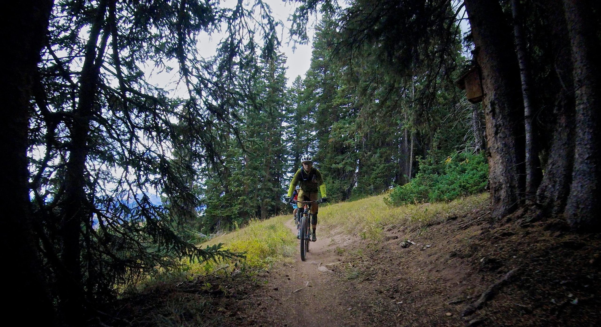 A mountain biker riding on a narrow trail through a dense forest, surrounded by tall trees and grassy patches. The atmosphere is slightly overcast, suggesting a cool, adventurous day. Vail Mountain Bike Park mountain bike trail.