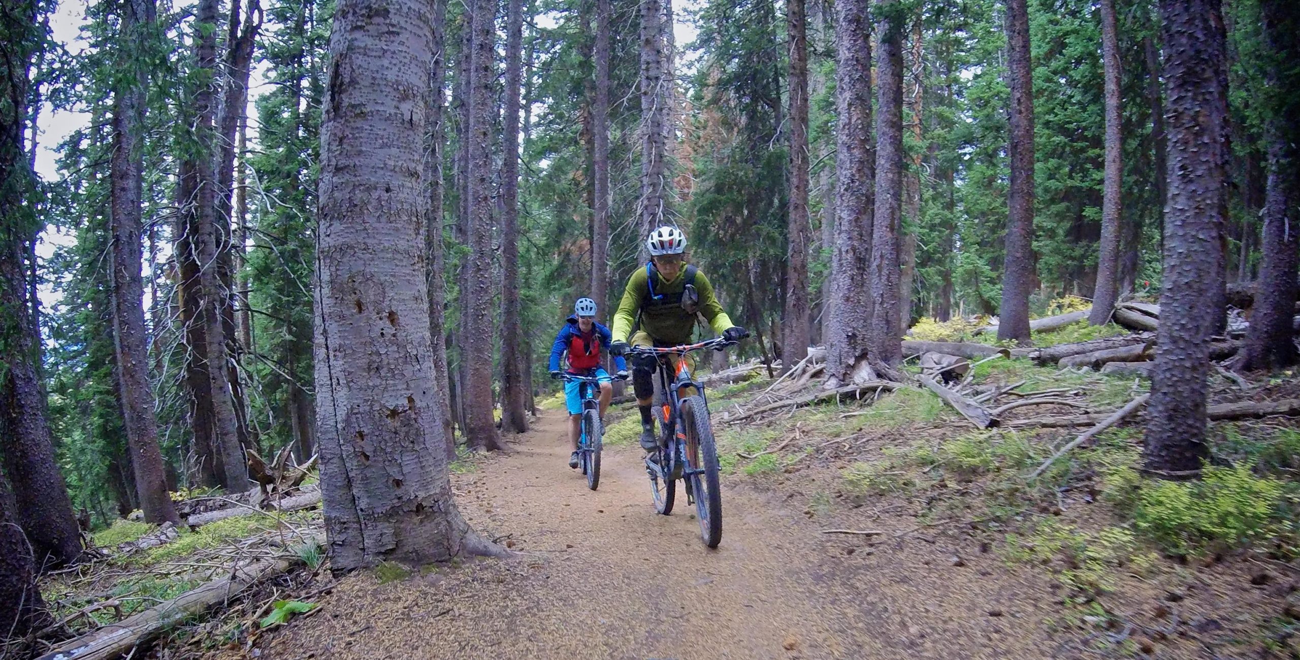 Two mountain bikers navigate a dirt trail through a densely wooded forest, lined with tall trees and foliage. The first rider, wearing a bright blue jacket and a helmet, follows closely behind the second rider, who is dressed in green gear. The path is surrounded by greenery and fallen logs, creating a vibrant outdoor setting. Vail Mountain Bike Park mountain bike trail.