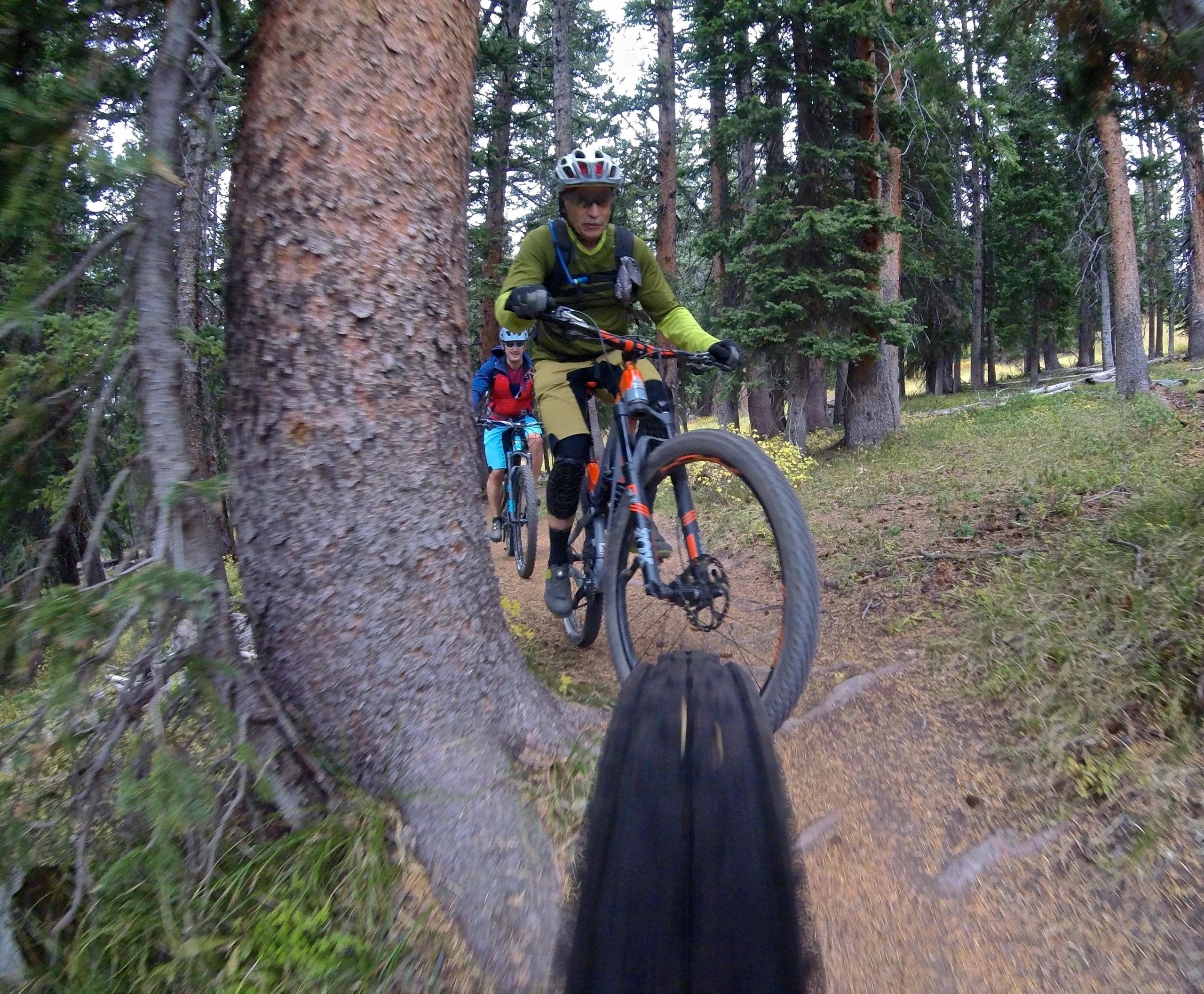Two mountain bikers navigating a narrow trail through a forest. One rider is in the foreground, wearing a green shirt and helmet, while the other is seen in the background, in blue and red attire. The trail runs close to a large tree, surrounded by greenery and other trees. The scene captures the essence of outdoor biking adventure. Vail Mountain Bike Park mountain bike trail.