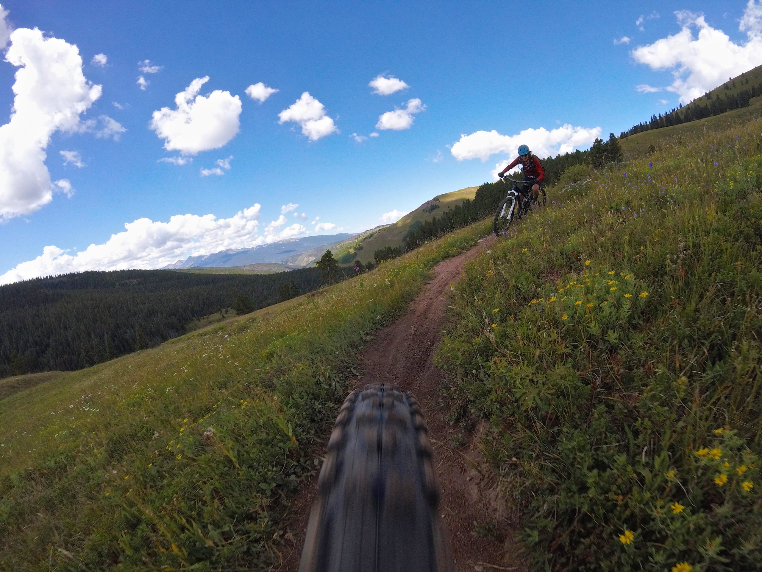 A mountain biker riding on a dirt trail surrounded by green grass and colorful wildflowers, with a scenic view of rolling hills and a blue sky filled with fluffy white clouds in the background. Two Elk via Vail Pass mountain bike trail.