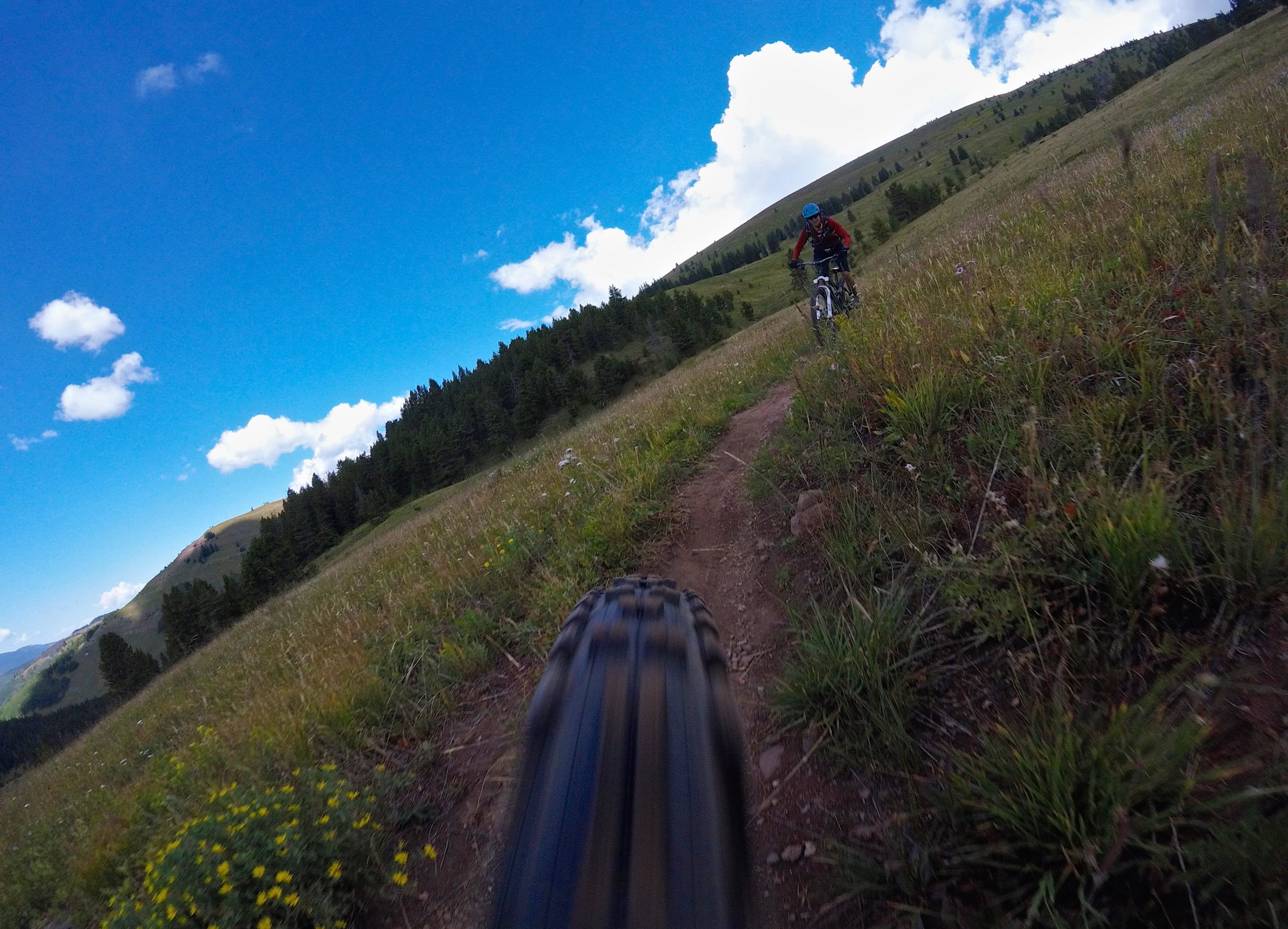 A mountain biking scene featuring a close-up view of a bike tire on a dirt trail, with a rider navigating the path ahead. The background includes lush green hills and a clear blue sky with fluffy white clouds. Wildflowers are visible along the trail, creating a vibrant outdoor landscape. Two Elk via Vail Pass mountain bike trail.