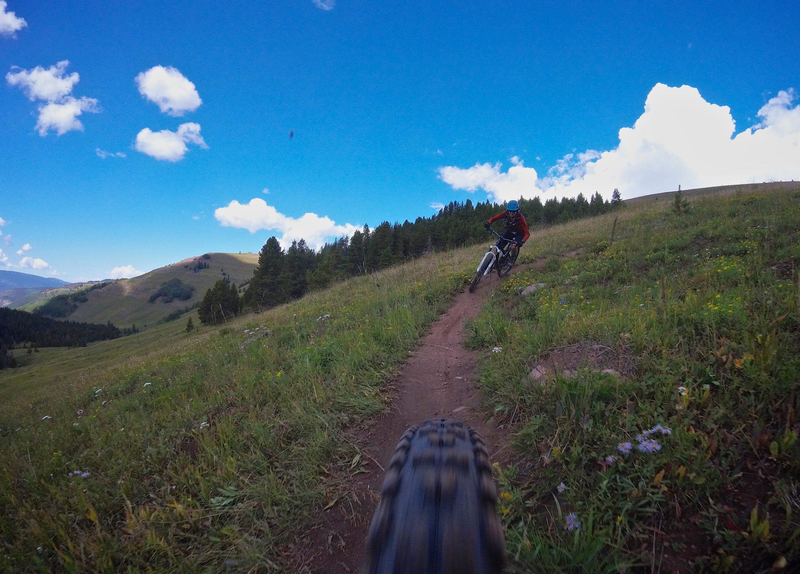 A mountain biker skillfully navigating a winding dirt trail through a vibrant green meadow, surrounded by trees and under a bright blue sky with fluffy clouds. The foreground captures the tire of the bike, emphasizing movement and speed. Two Elk via Vail Pass mountain bike trail.