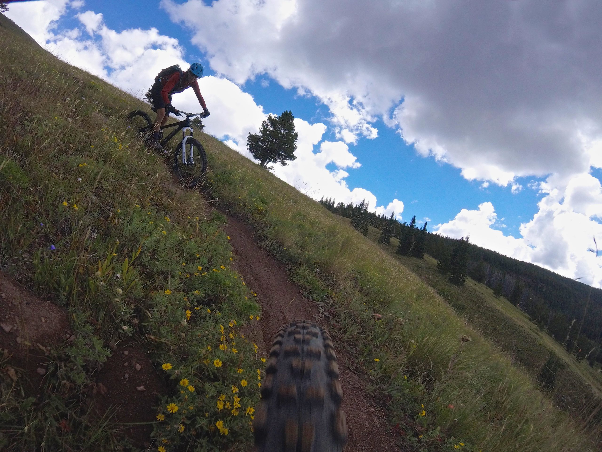 A mountain biker navigates a dirt trail surrounded by wildflowers and tall grass, with a backdrop of blue skies and fluffy clouds. The image is taken from a low angle, showcasing the bike's tire as it rolls over the path. Two Elk via Vail Pass mountain bike trail.