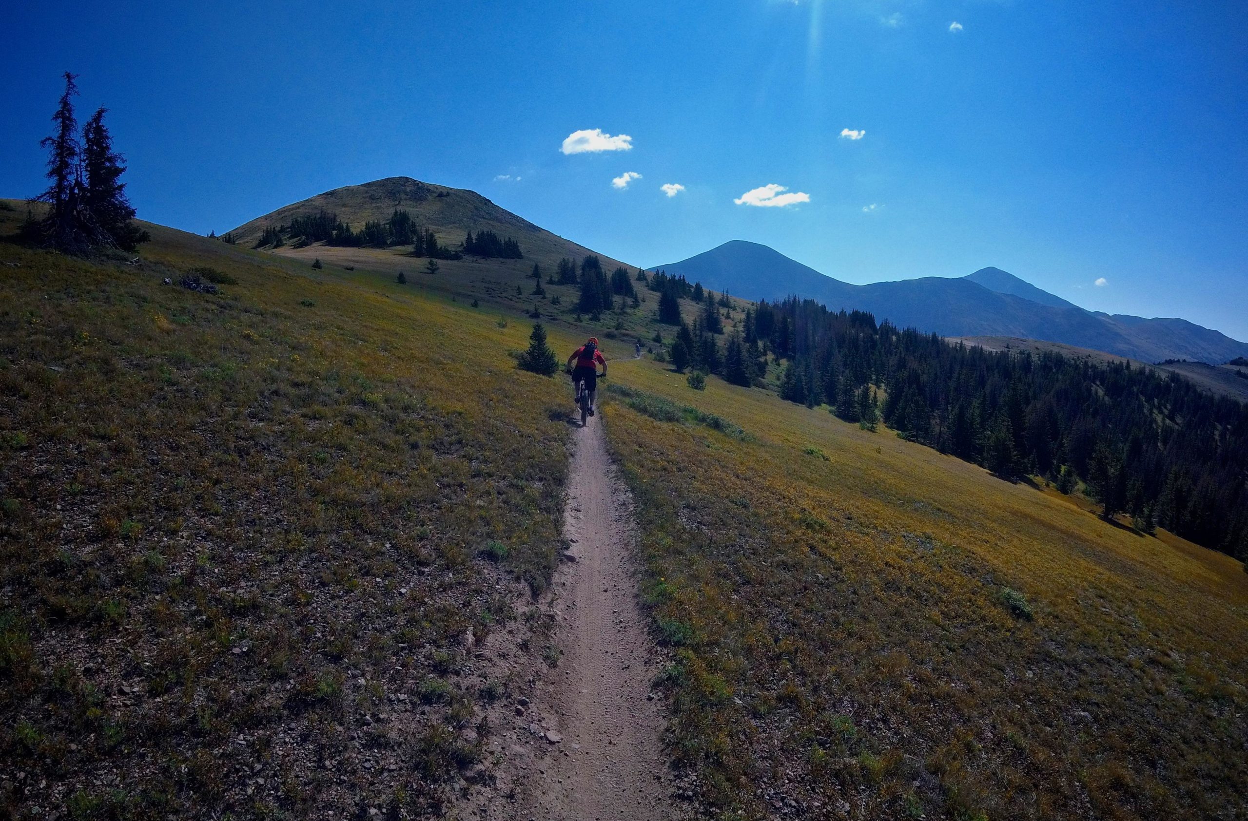 A mountain biker rides along a narrow dirt trail through a grassy landscape, surrounded by rolling hills and distant mountains under a clear blue sky with a few clouds. The scene captures the beauty of nature and outdoor adventure. Monarch Crest Trail mountain bike trail.