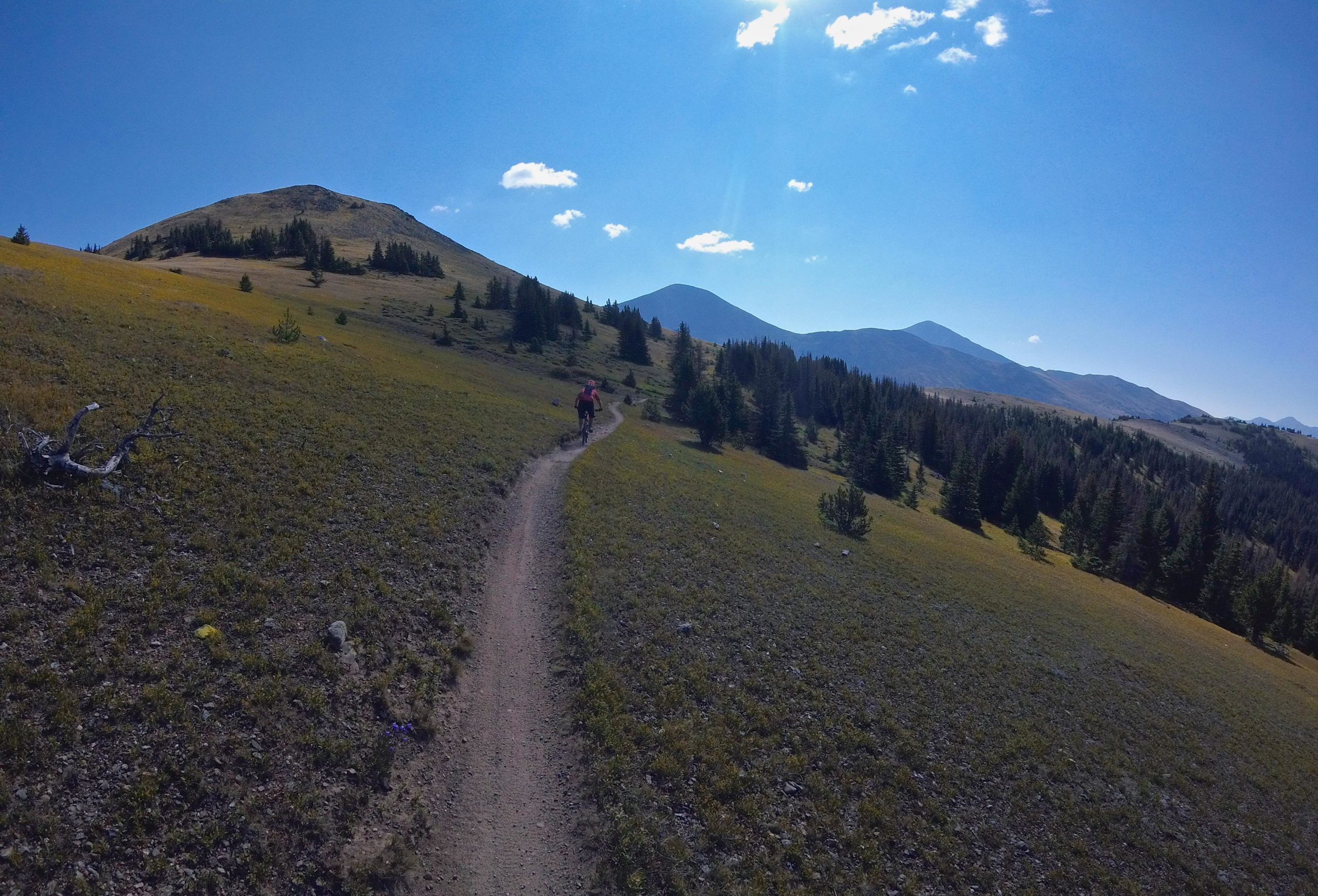 A person biking along a dirt trail in a mountainous landscape, surrounded by grassy hills and scattered trees under a clear blue sky with a few clouds. Monarch Crest Trail mountain bike trail.