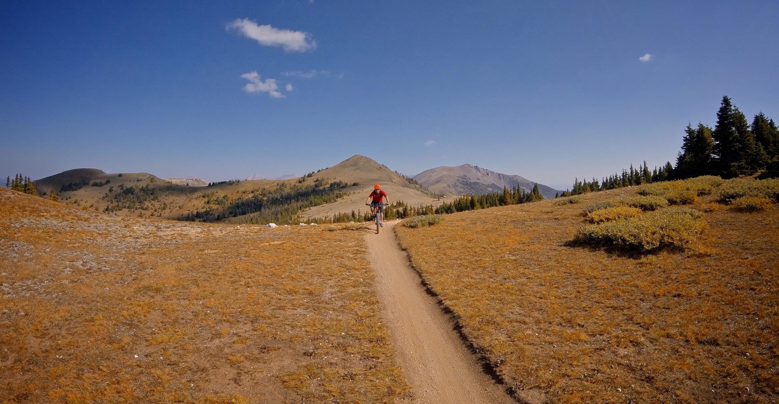 A person riding a mountain bike along a dirt trail in a mountainous landscape, surrounded by grassy plains and pine trees under a blue sky with a few clouds. Monarch Crest Trail mountain bike trail.