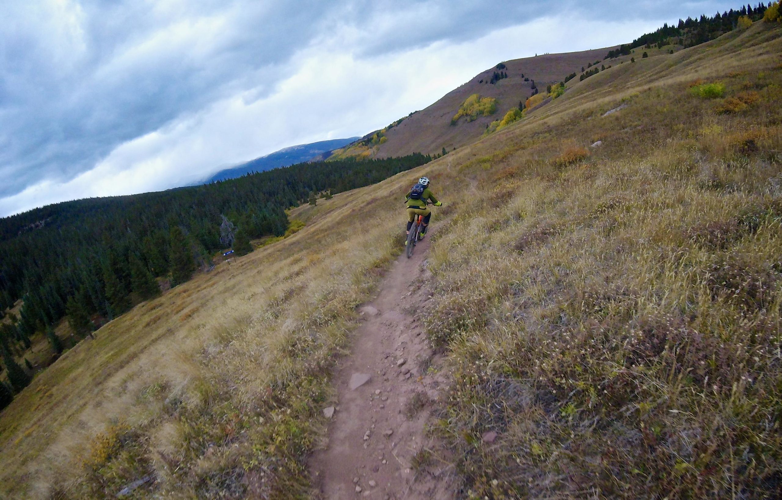 A mountain biker navigates a narrow dirt trail through a grassy landscape, surrounded by pine trees and rolling hills under a cloudy sky. The path winds downward, suggesting a dynamic ride through a scenic outdoor setting. Two Elk via Vail Pass mountain bike trail.