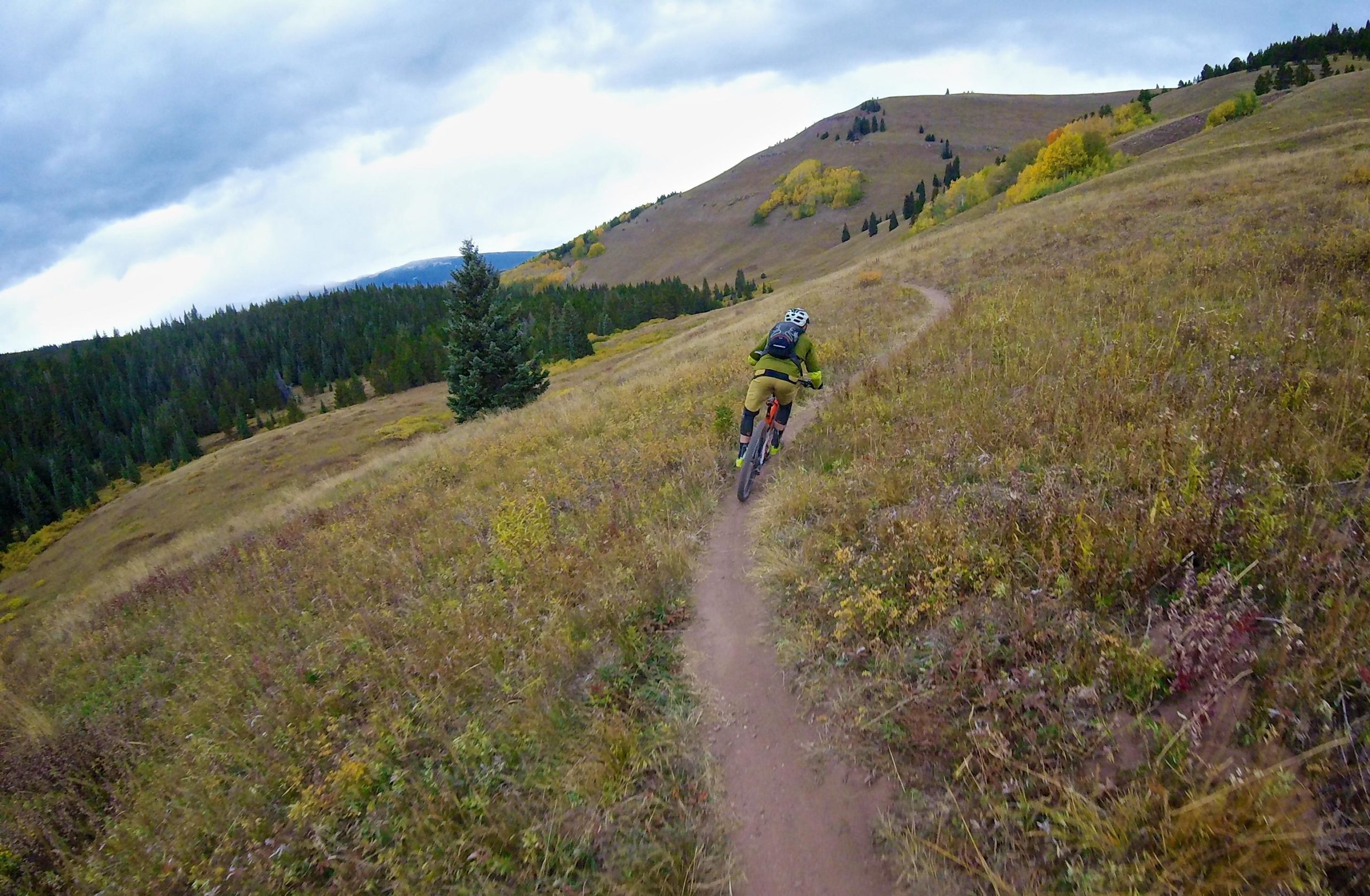 A mountain biker rides along a winding dirt trail in a grassy landscape, surrounded by trees and rolling hills under a cloudy sky. The scene captures the essence of outdoor adventure and the vibrant colors of autumn foliage. Two Elk via Vail Pass mountain bike trail.