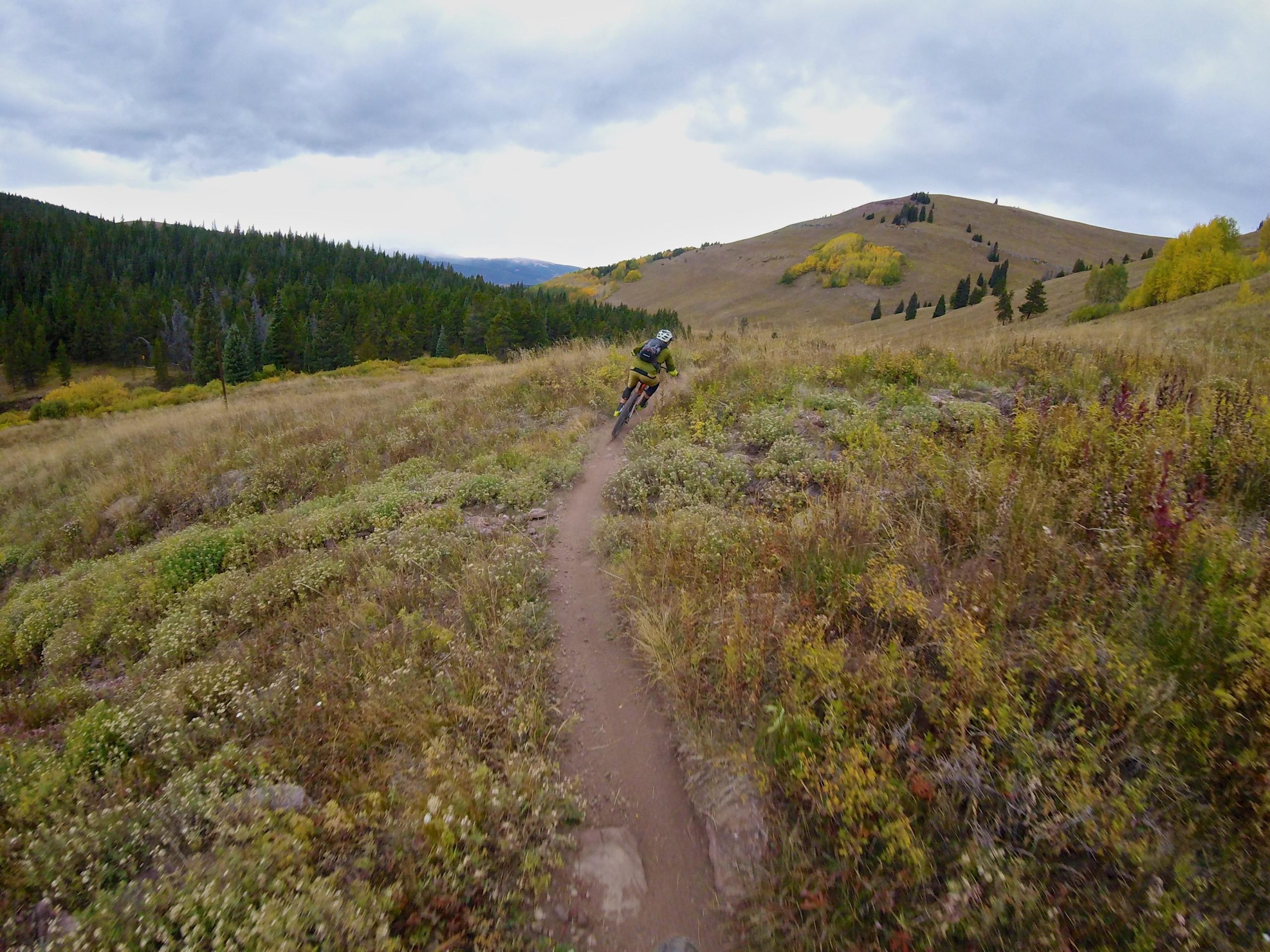 A mountain biker rides along a narrow dirt trail through a grassy landscape, surrounded by trees and hills. The sky is cloudy, and hints of autumn foliage can be seen in the background. Two Elk via Vail Pass mountain bike trail.