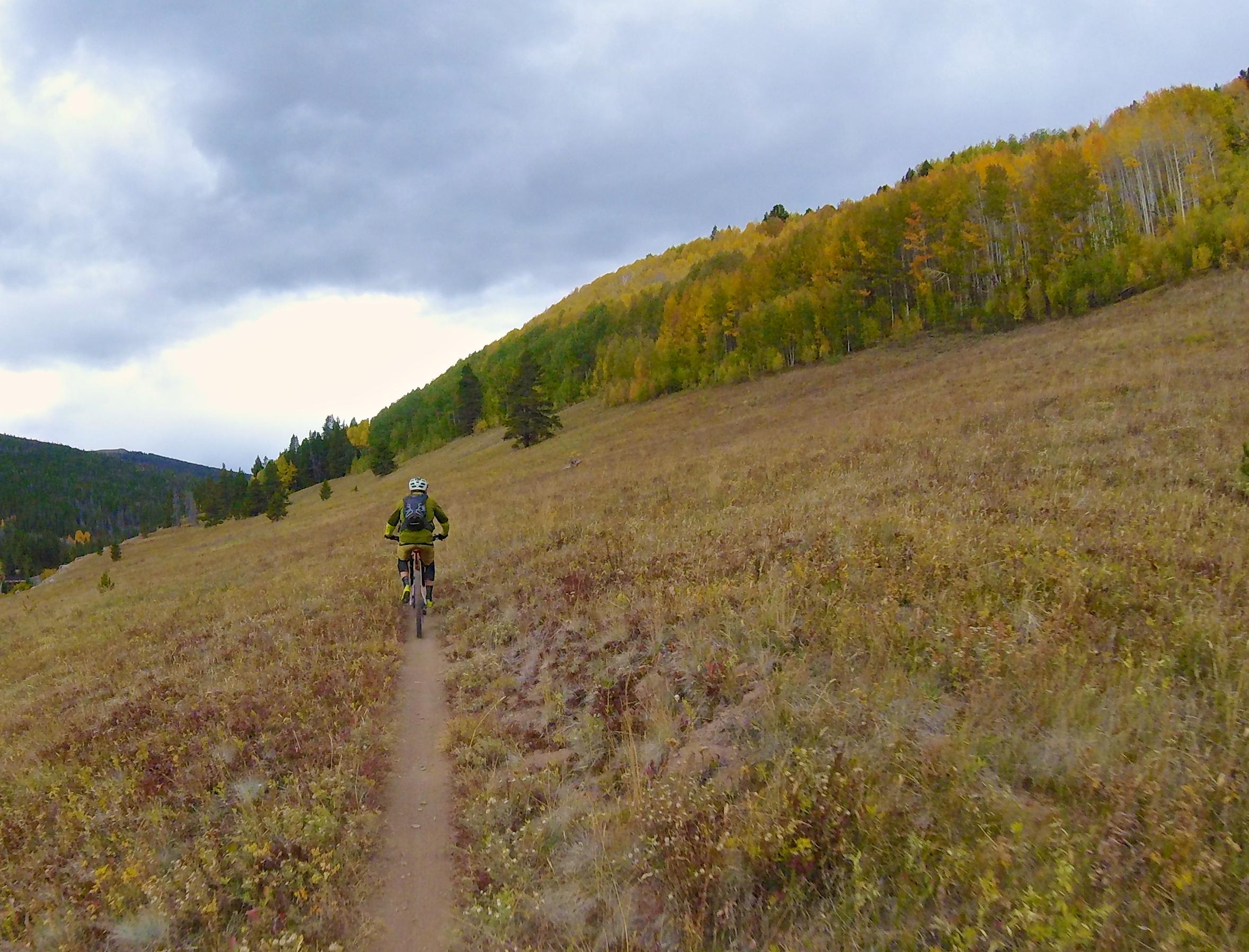 A mountain biker riding on a dirt trail through an open grassy field, with autumn-colored trees in the background under a cloudy sky. Two Elk via Vail Pass mountain bike trail.