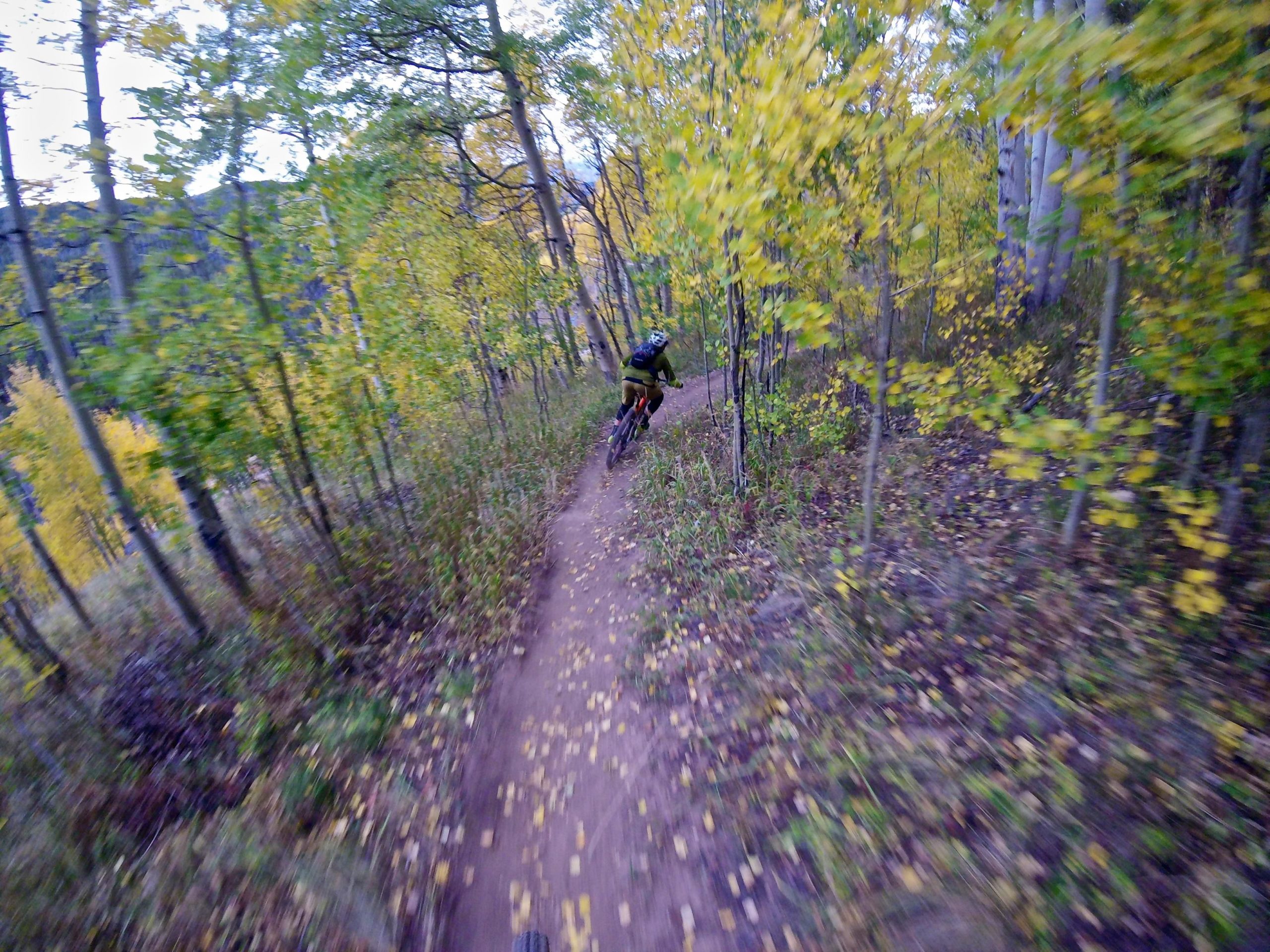A mountain biker navigates a winding dirt trail surrounded by vibrant autumn foliage, with blurred motion suggesting speed and adventure in a forested setting. Two Elk via Vail Pass mountain bike trail.