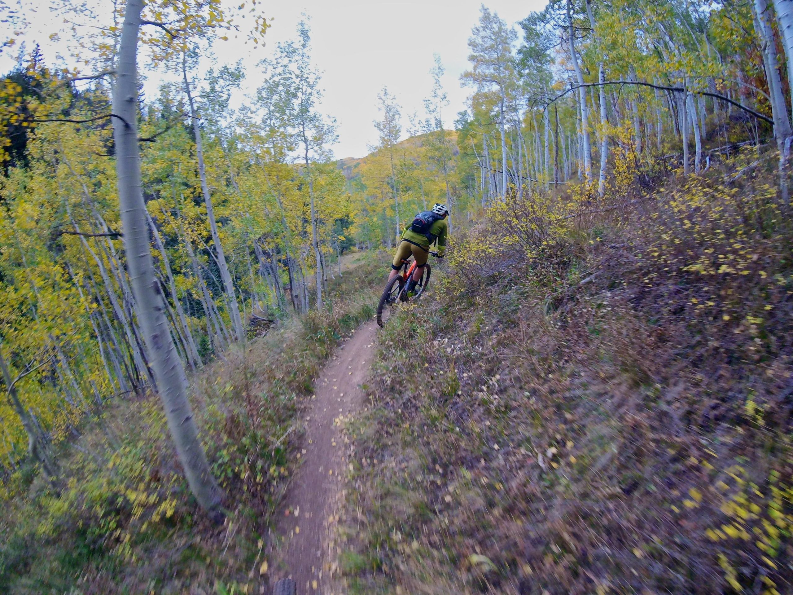 A mountain biker navigates a winding dirt trail surrounded by vibrant autumn trees. The scene captures the motion and excitement of biking through a forest with golden leaves, showcasing the beauty of nature during fall. Two Elk via Vail Pass mountain bike trail.