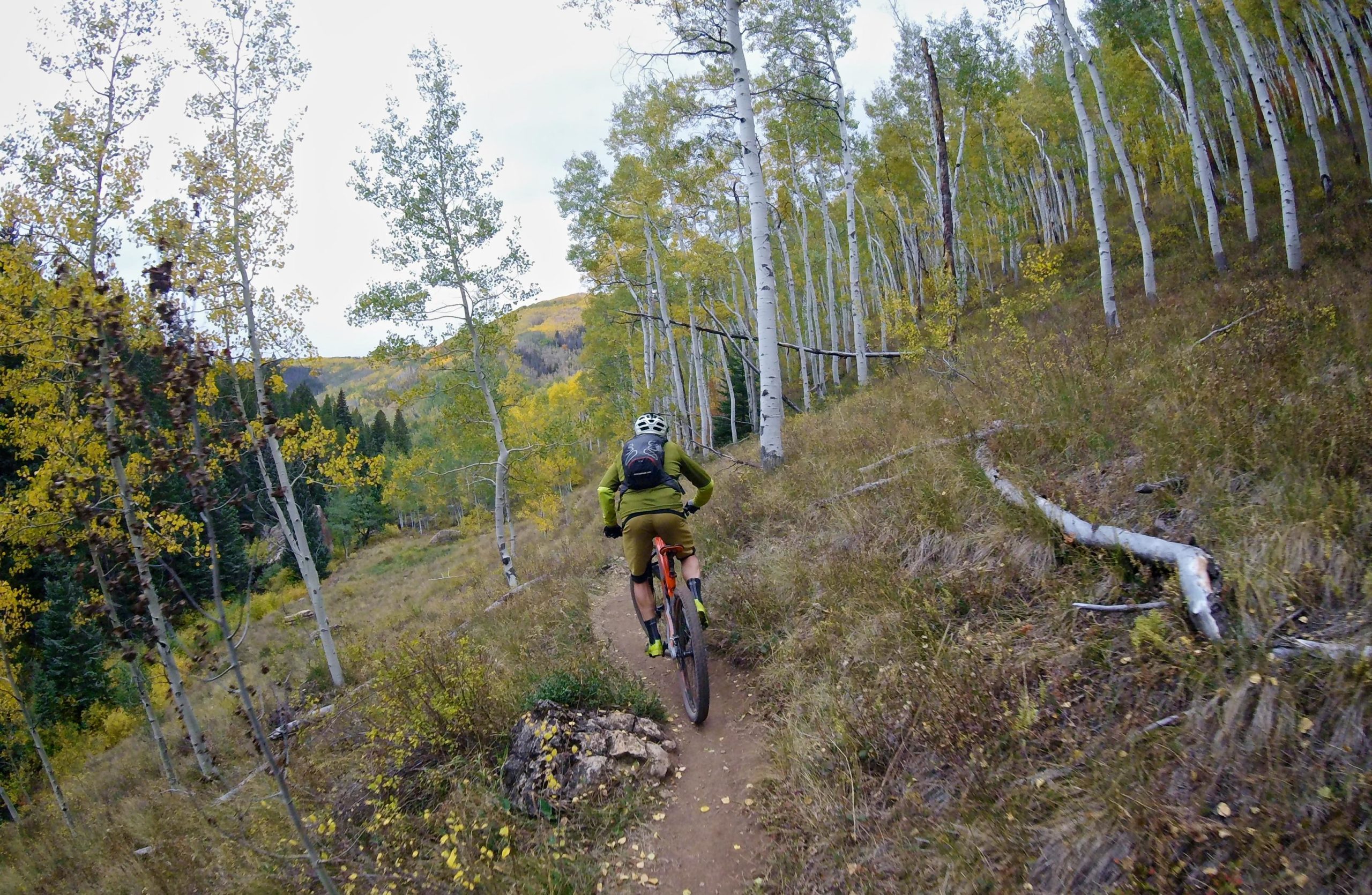A mountain biker navigates a winding dirt trail through a vibrant forest of aspen trees displaying autumn colors, with patches of yellow and green foliage in a scenic mountainous landscape. Two Elk via Vail Pass mountain bike trail.