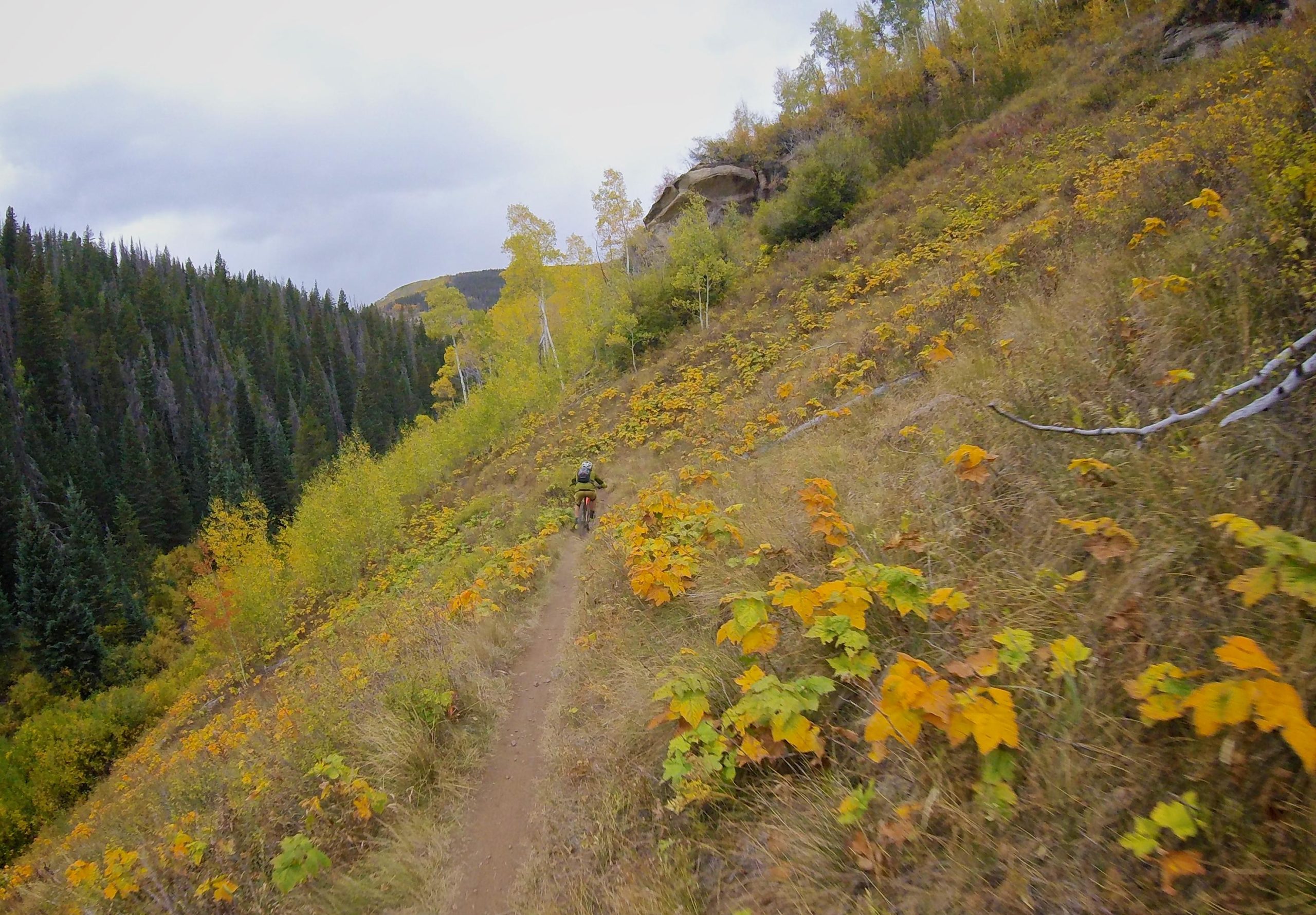 A cyclist rides along a narrow dirt trail through a vibrant autumn landscape, surrounded by hills covered in orange and yellow foliage. Tall evergreen trees line the path, and overcast skies can be seen above the scenic backdrop. Two Elk via Vail Pass mountain bike trail.