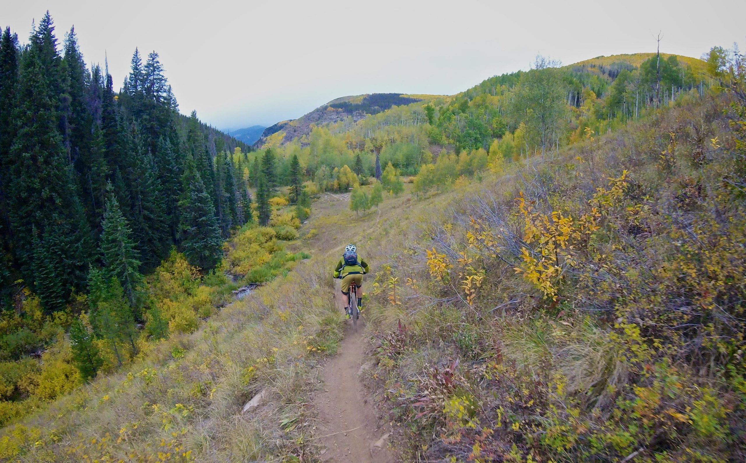 A person riding a mountain bike along a dirt trail surrounded by vibrant fall foliage, with tall evergreen trees and rolling hills in the background. The landscape features a mix of green and yellow leaves, indicating the transition of seasons. Two Elk via Vail Pass mountain bike trail.
