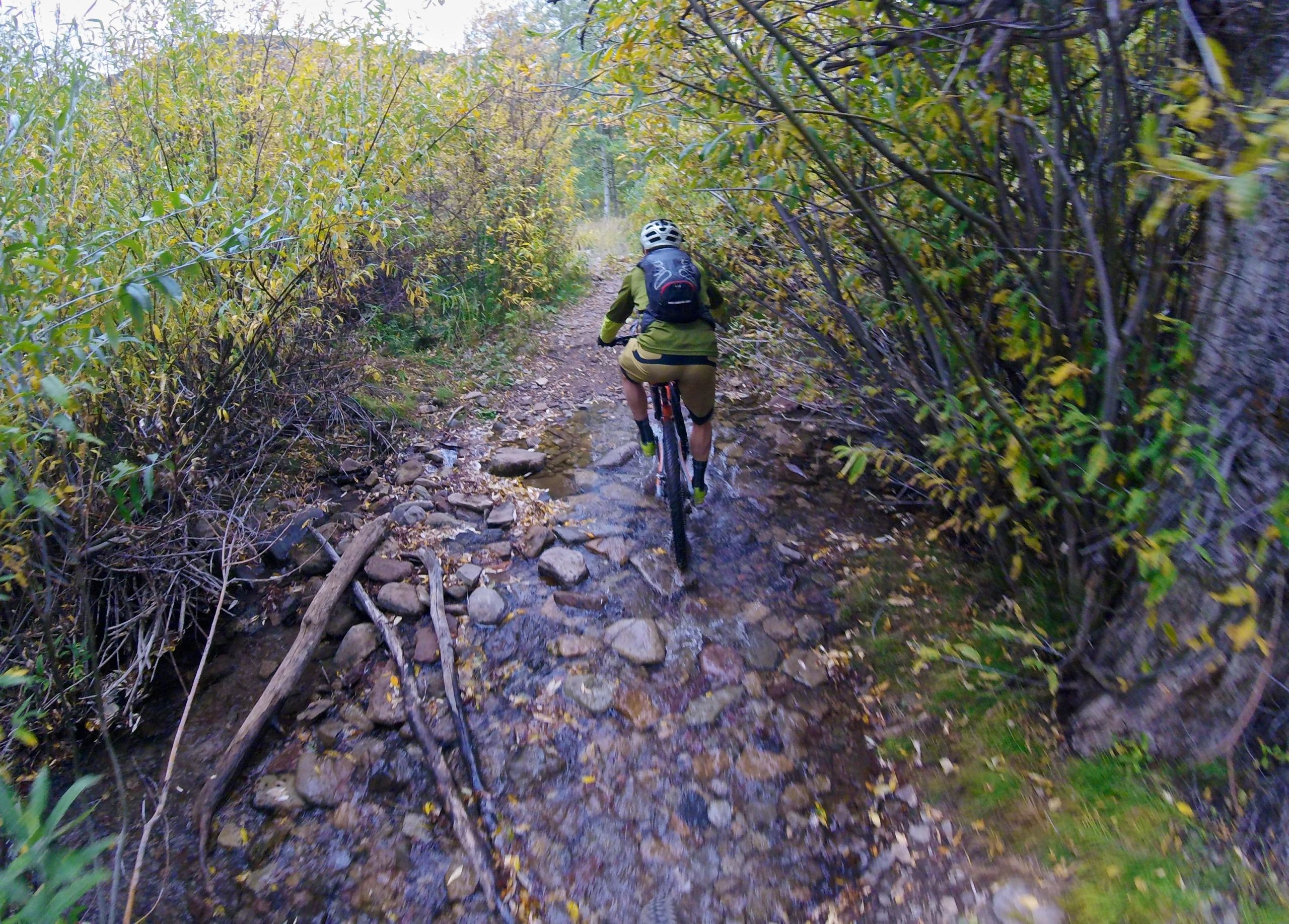 A cyclist riding a mountain bike along a narrow, rocky trail surrounded by greenery, with autumn foliage in shades of yellow. The path is wet and includes scattered stones and branches. Two Elk via Vail Pass mountain bike trail.