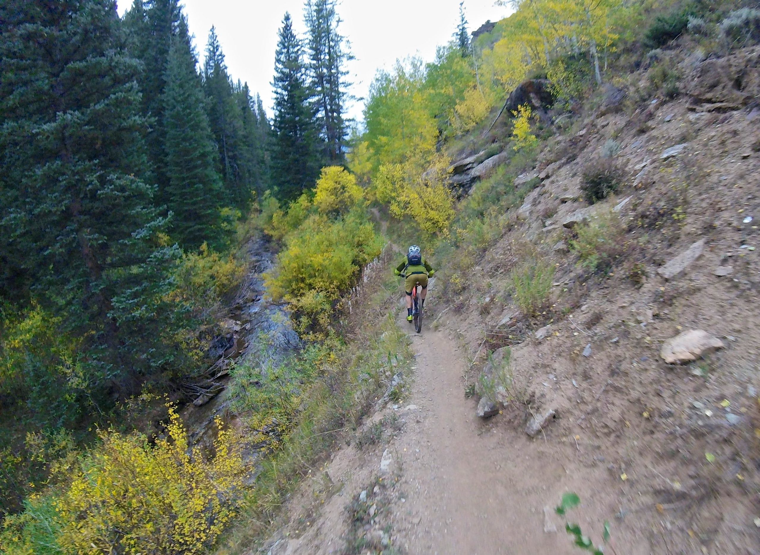A mountain biker riding along a narrow trail surrounded by pine trees and vibrant autumn foliage, with a gentle slope on one side leading down to a rocky stream. The scene captures the beauty of nature and outdoor adventure. Two Elk via Vail Pass mountain bike trail.