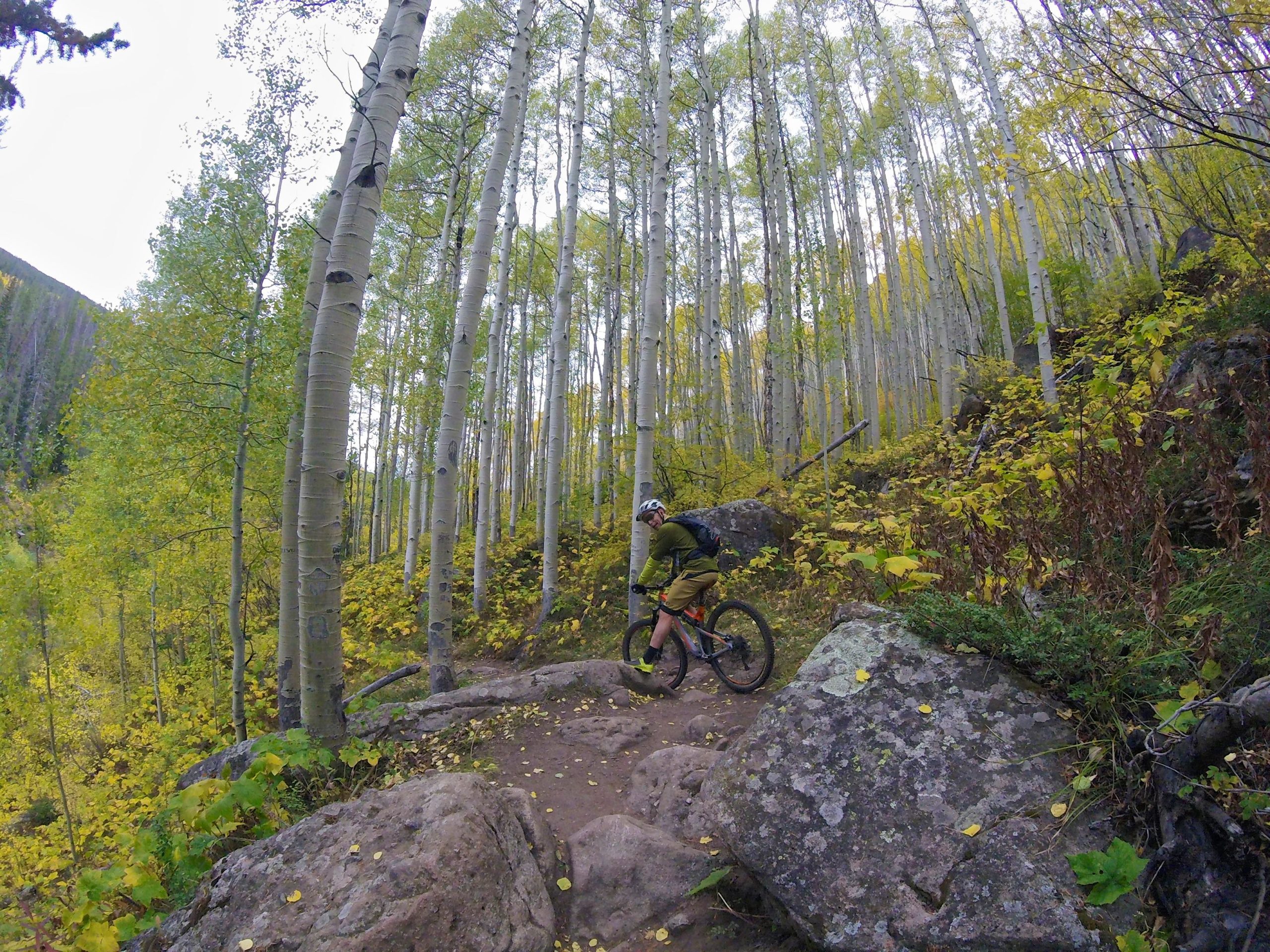 A mountain biker navigating a rocky trail through a vibrant forest of tall aspen trees with green and yellow leaves, during the fall season. Two Elk via Vail Pass mountain bike trail.