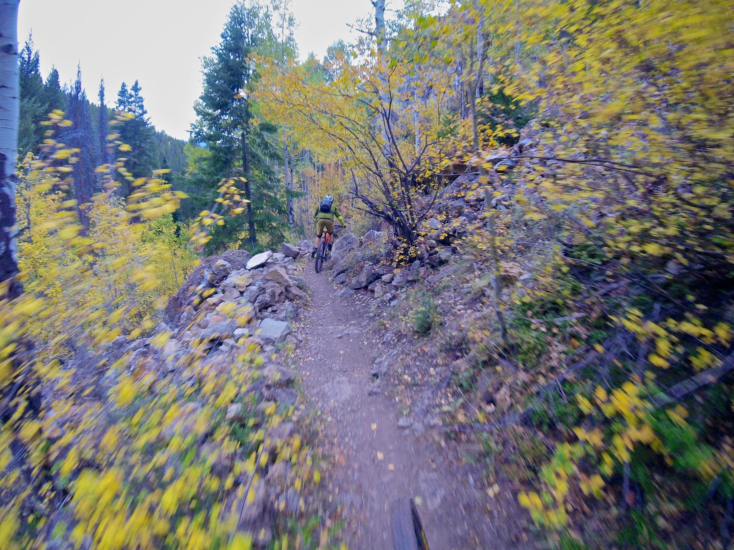 A mountain biker navigating a narrow, rocky trail surrounded by vibrant autumn foliage, with yellow leaves blowing in the wind and trees lining the path. Two Elk via Vail Pass mountain bike trail.