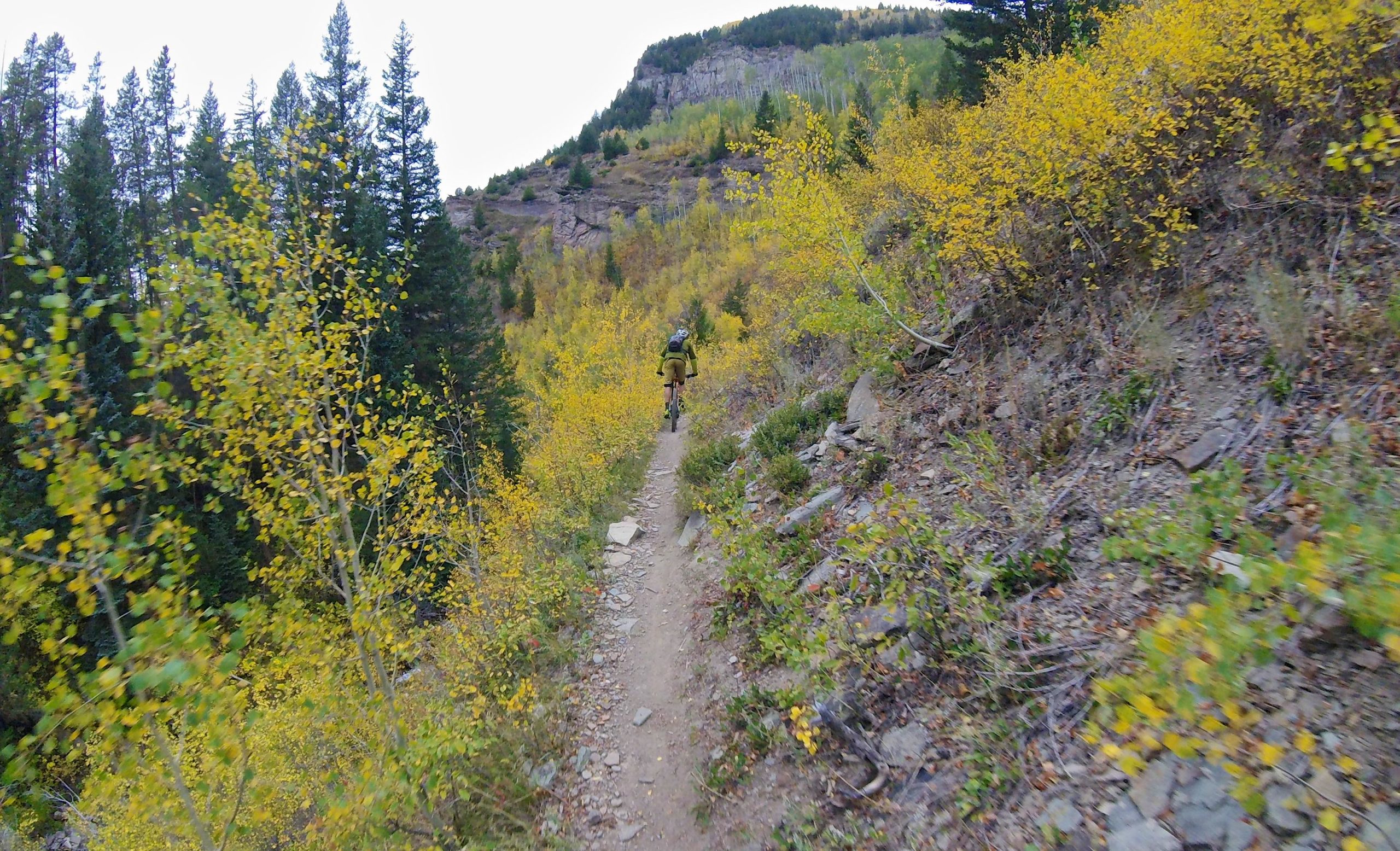 A mountain biker traverses a narrow dirt path surrounded by vibrant yellow foliage and tall evergreen trees, set against a backdrop of rocky terrain and steep hills. The scene captures the beauty of an autumn landscape in a natural setting. Two Elk via Vail Pass mountain bike trail.