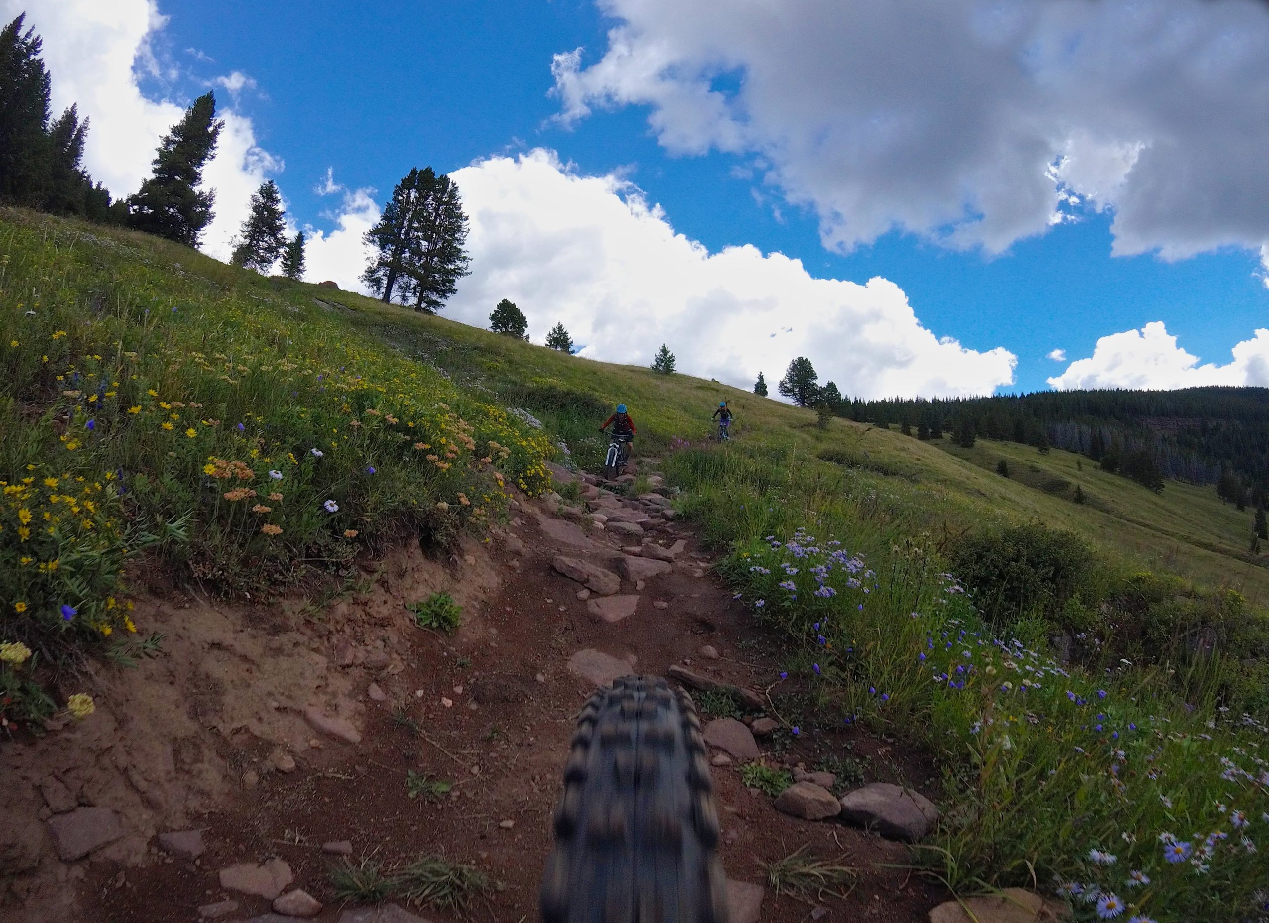 A scenic outdoor trail featuring cyclists riding on a rocky path surrounded by vibrant wildflowers and lush greenery, under a partly cloudy sky. Two Elk via Vail Pass mountain bike trail.