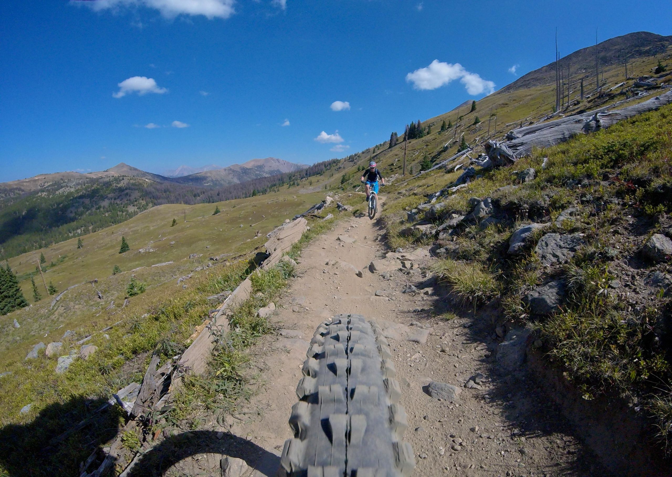 A mountain biker rides along a dirt trail surrounded by scenic mountain landscape, with blue skies and fluffy clouds overhead. The view captures the bike's tire in the foreground, emphasizing the rugged terrain and natural beauty of the area. Monarch Crest Trail mountain bike trail.