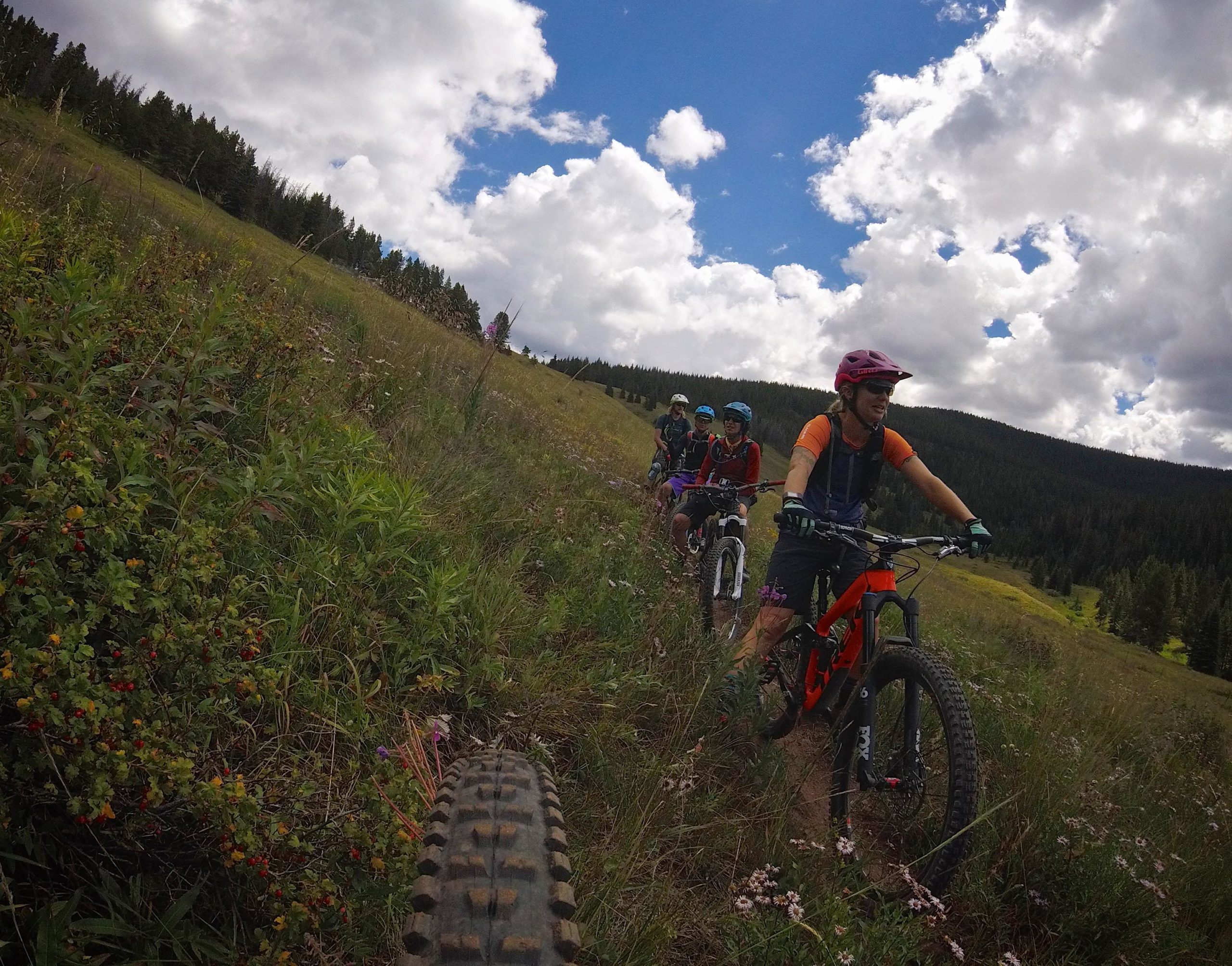 A group of four mountain bikers riding along a grassy trail in a mountainous landscape under a partly cloudy sky. The lead cyclist, wearing a pink helmet and orange shirt, is navigating the path while the others follow closely behind, all equipped with helmets and biking gear. Wildflowers and greenery line the trail, enhancing the outdoor adventure atmosphere. Two Elk via Vail Pass mountain bike trail.