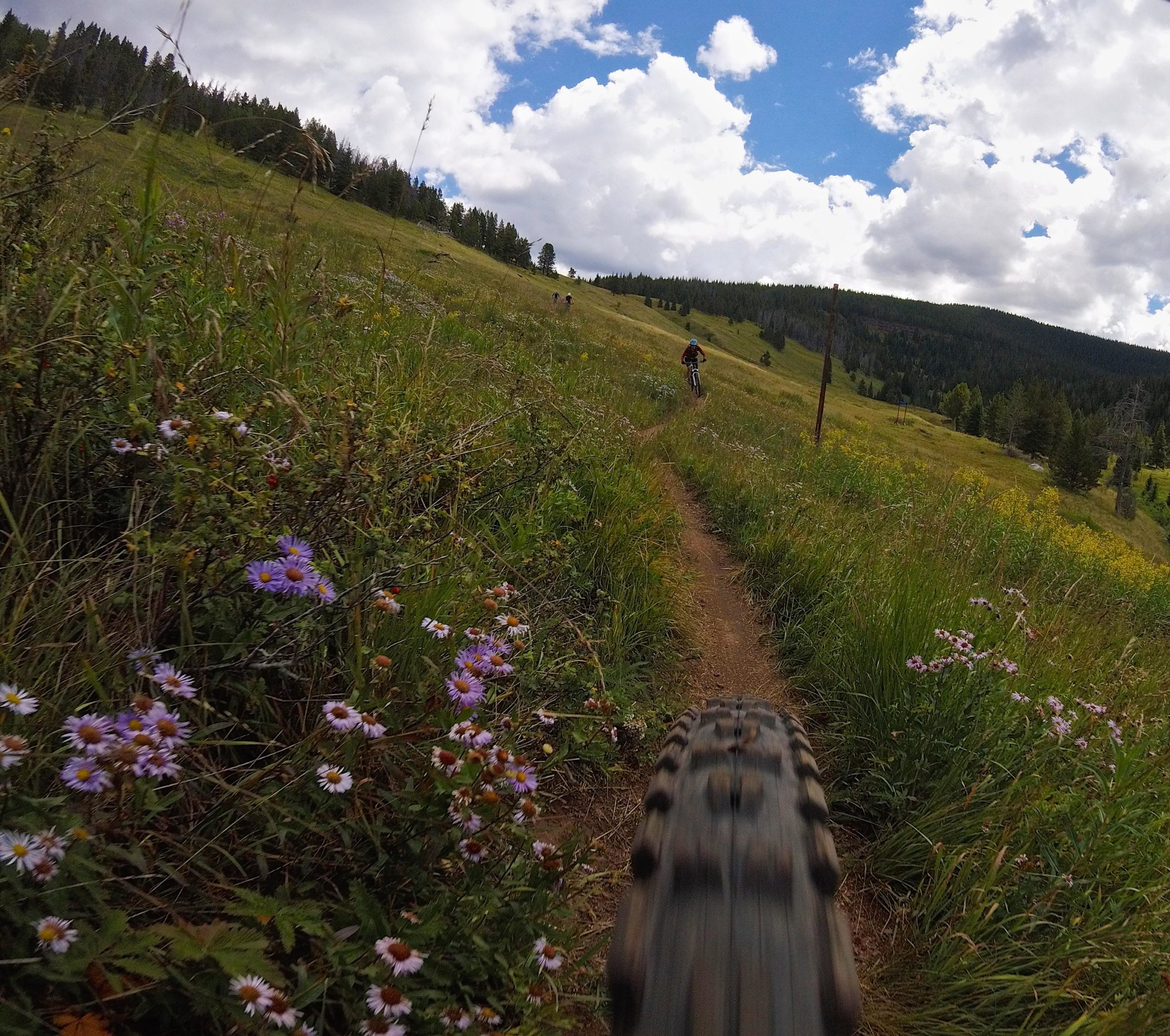 A scenic view of a mountain biking trail surrounded by vibrant wildflowers and lush greenery. The foreground shows a close-up of a bike tire on the dirt path, while in the background, a cyclist is riding along the trail, with rolling hills and a cloudy sky visible. Two Elk via Vail Pass mountain bike trail.
