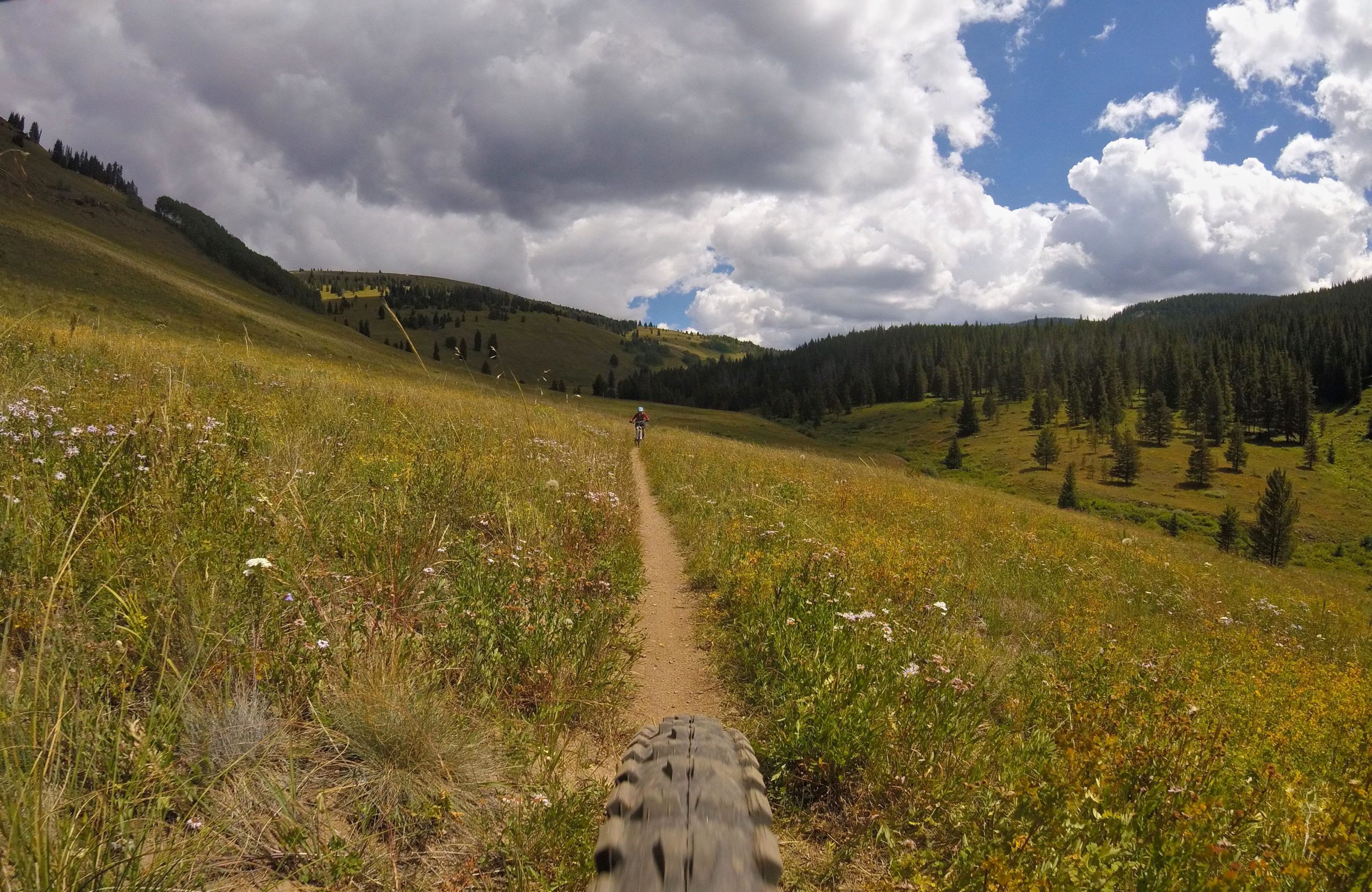 A mountain biker riding along a dirt trail through a vibrant meadow filled with wildflowers, surrounded by rolling hills and dense trees under a partly cloudy sky. Two Elk via Vail Pass mountain bike trail.