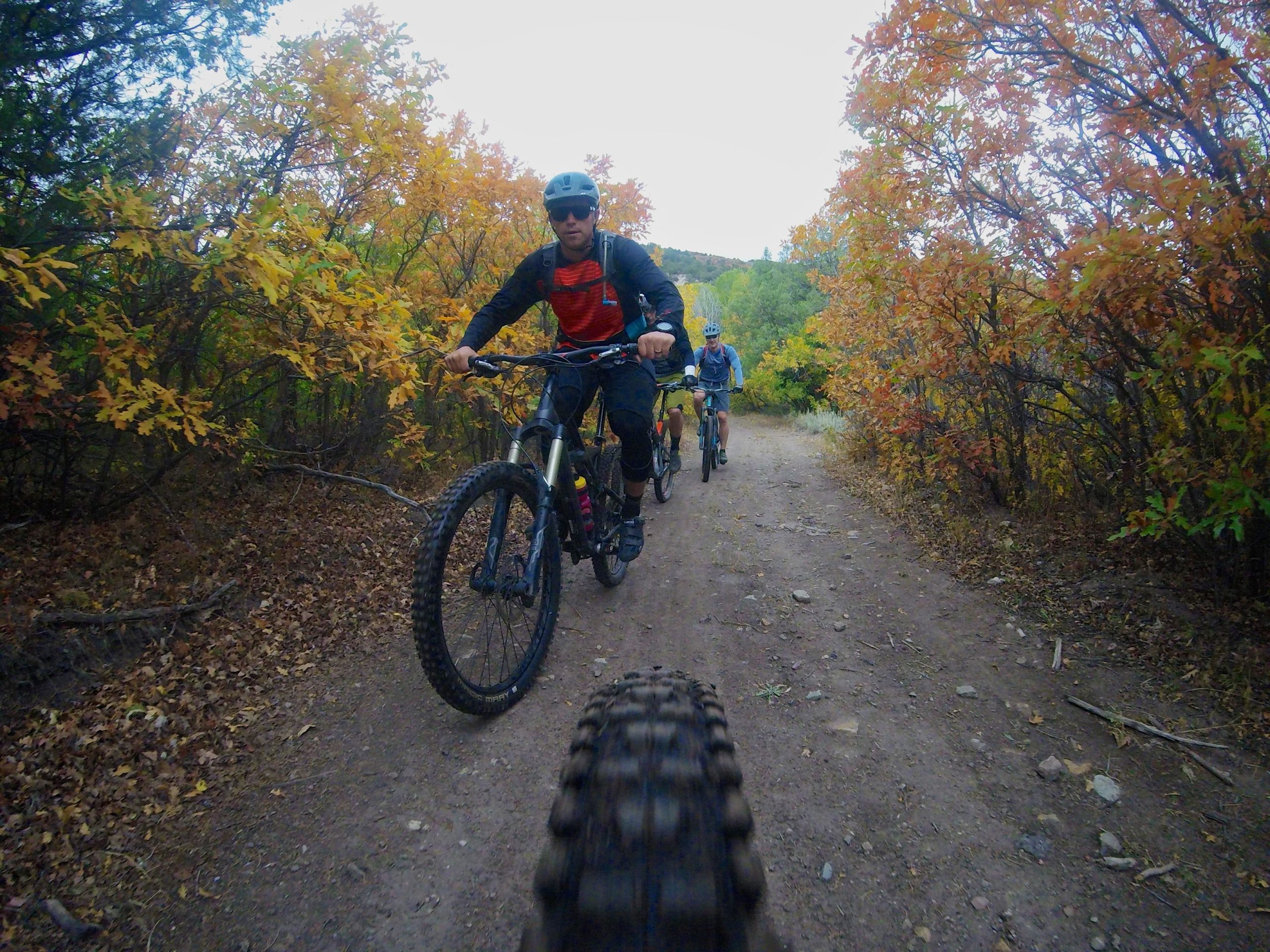 A group of mountain bikers riding on a dirt trail surrounded by trees with vibrant autumn foliage. The foreground shows the tire of a bike, while a rider in a red and black shirt is leading the group. Two additional bikers can be seen in the background. The scene captures the essence of outdoor adventure in a natural setting. Hardscrabble Mountain Trails mountain bike trail.