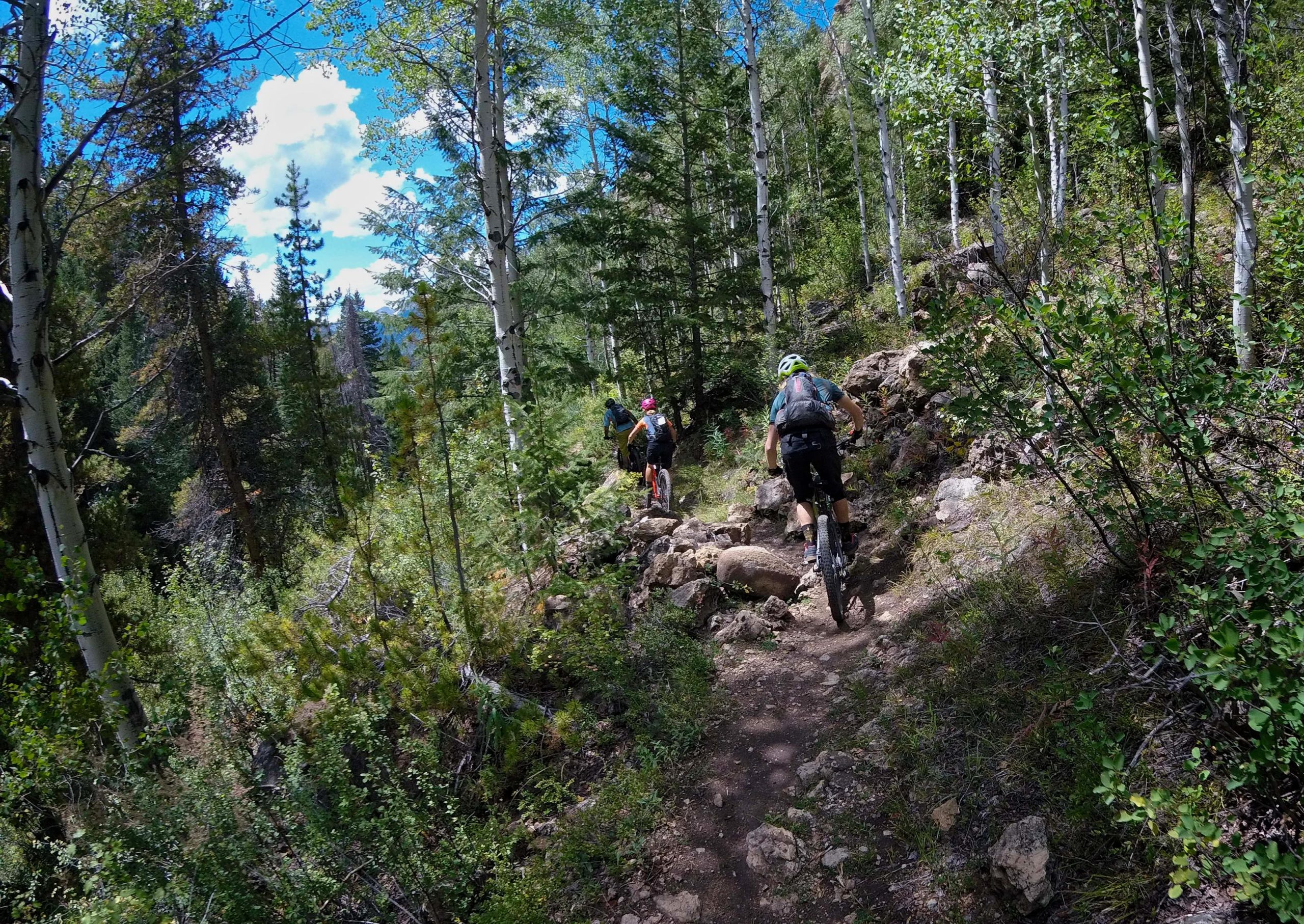 A group of mountain bikers navigating a rocky trail through a lush forest with tall trees and blue skies. The path is surrounded by greenery and boulders, creating a scenic outdoor adventure setting. Two Elk via Vail Pass mountain bike trail.