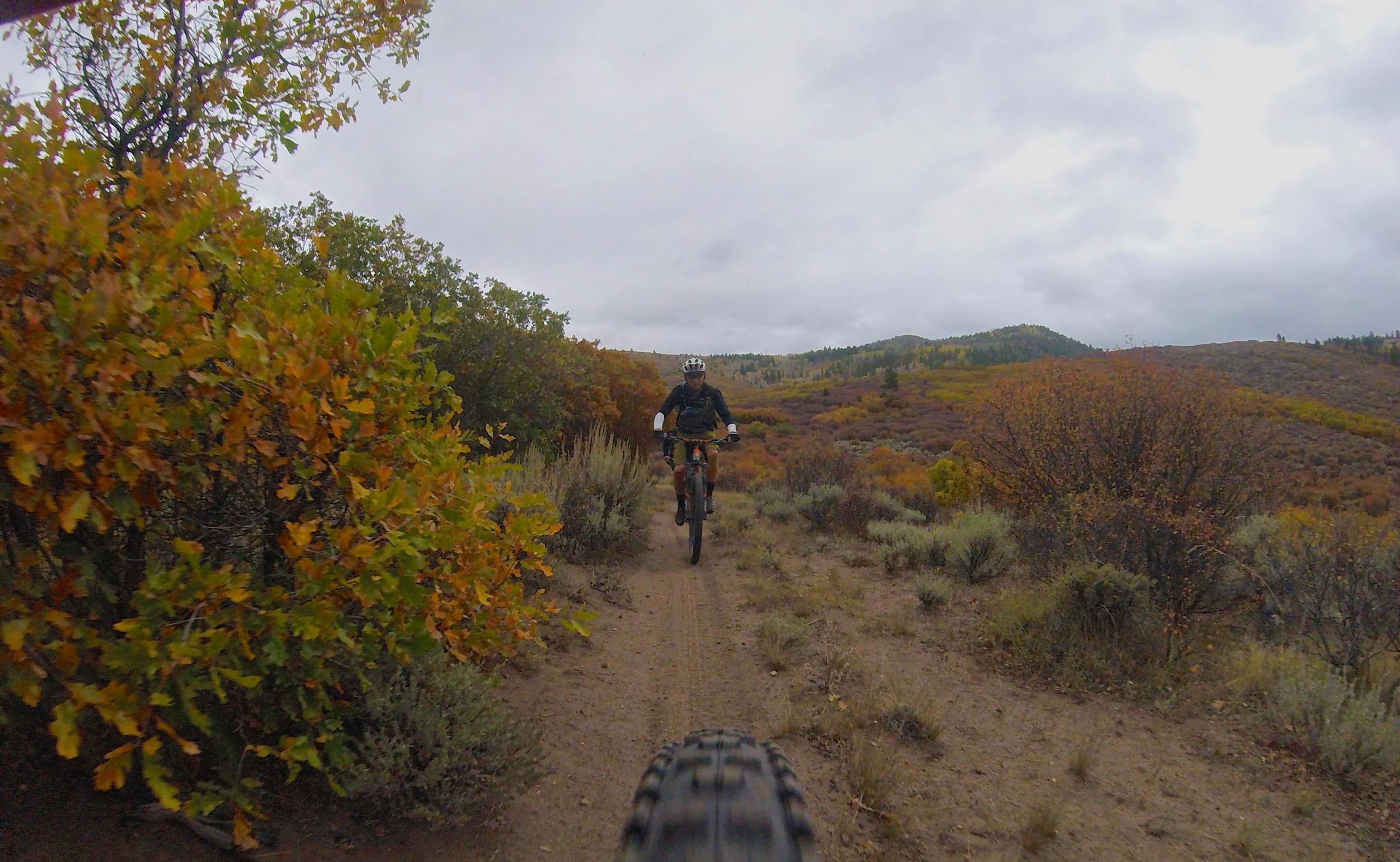 A mountain biker rides along a dirt trail surrounded by autumn foliage, with vibrant orange and green leaves and rolling hills in the background under a cloudy sky. The view includes part of the bike's front tire in the foreground. Hardscrabble Mountain Trails mountain bike trail.