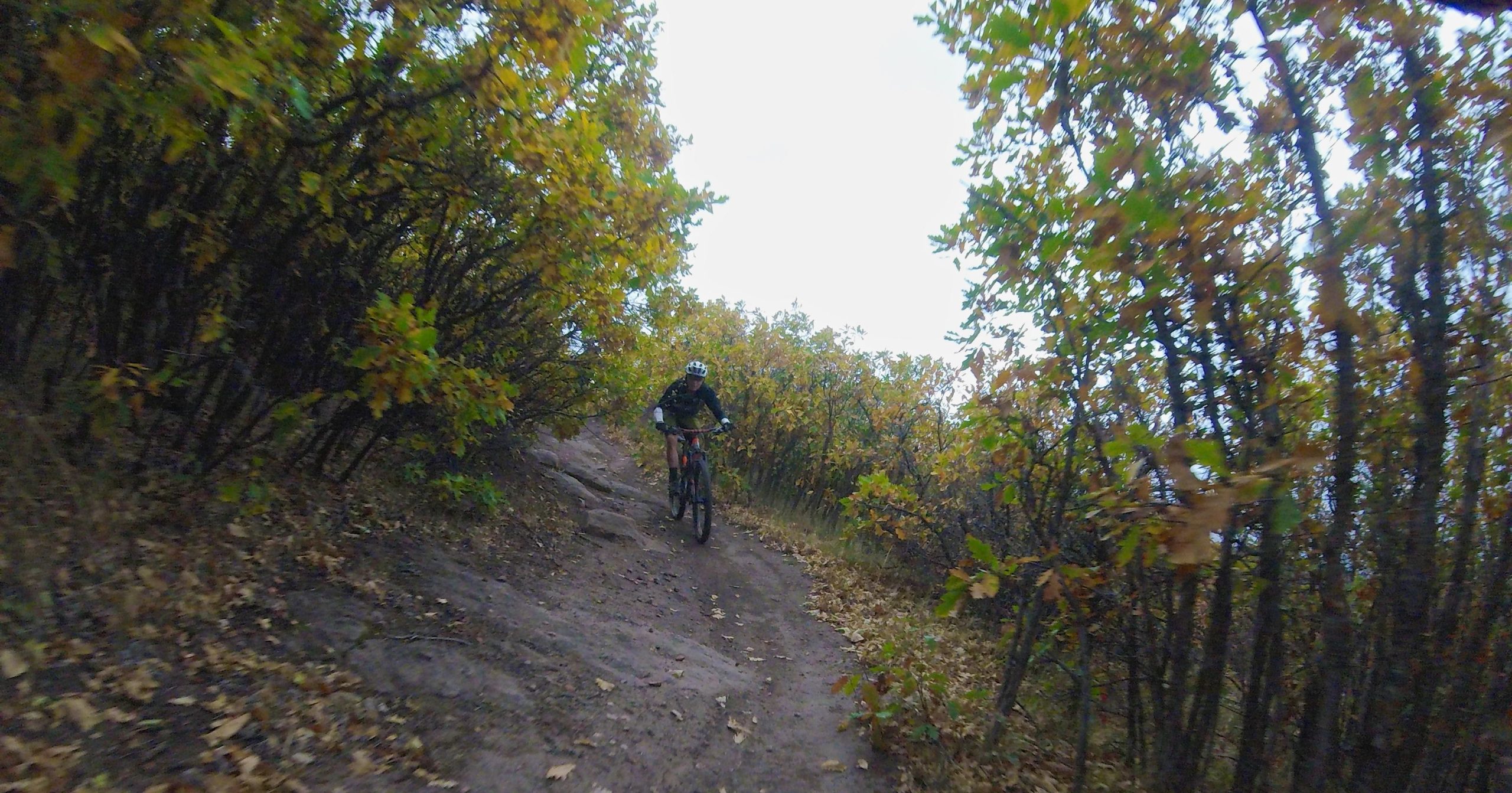 A person riding a mountain bike along a narrow dirt trail surrounded by trees with autumn foliage. The ground is slightly rocky, and the scene is set on an overcast day, emphasizing the vibrant colors of the leaves. Hardscrabble Mountain Trails mountain bike trail.