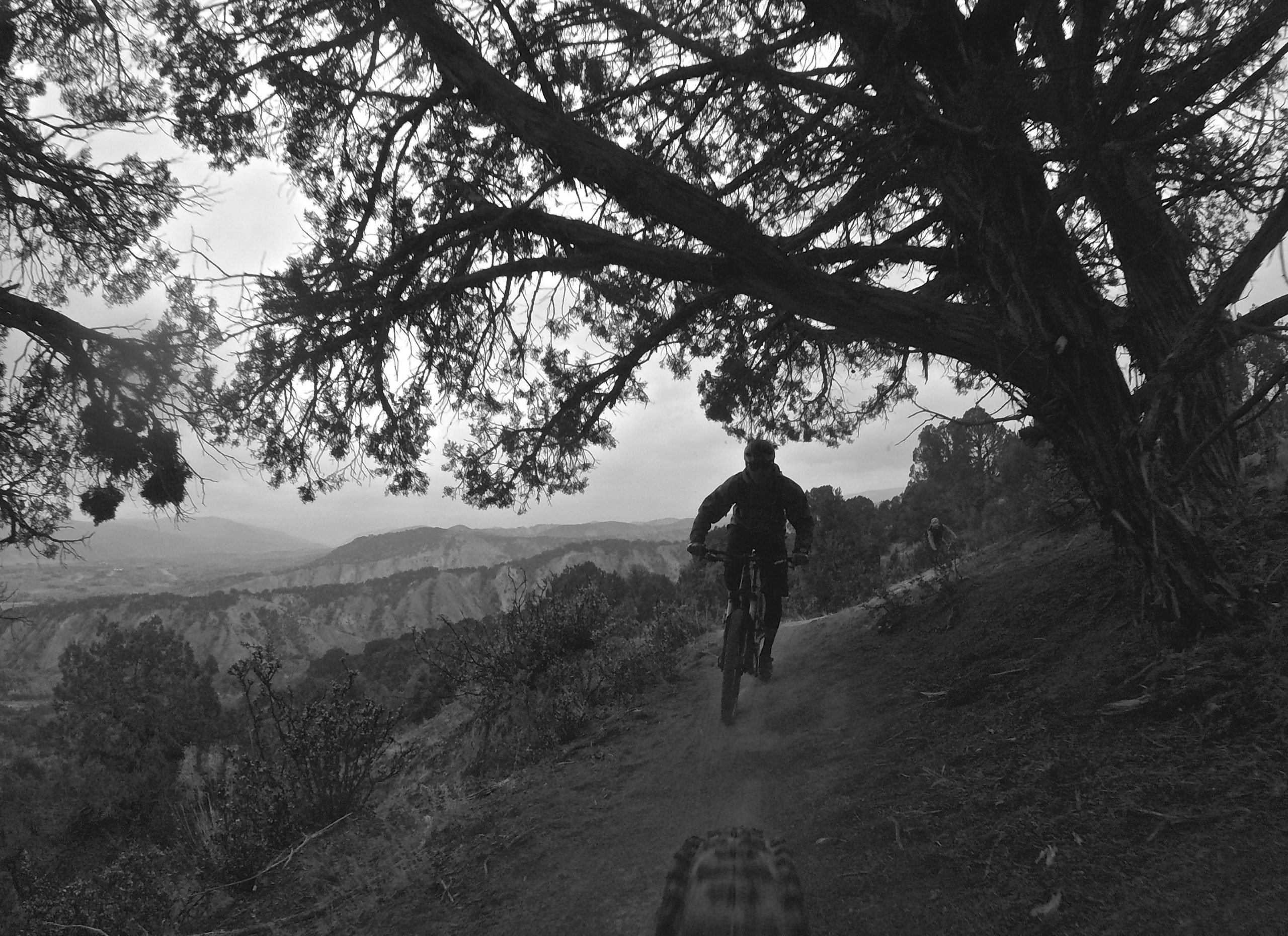 A mountain biker riding along a narrow dirt trail under a dense tree canopy, with a blurred background showcasing hilly terrain and overcast skies. The image is presented in black and white, emphasizing the rider and the rugged landscape. Hardscrabble Mountain Trails mountain bike trail.
