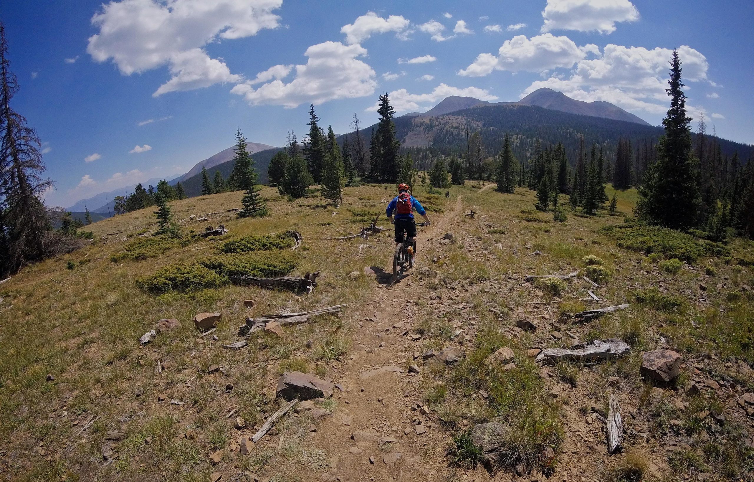 Mountain biker riding on a rocky trail through a grassy landscape, surrounded by pine trees and distant mountains under a partly cloudy sky. Monarch Crest Trail mountain bike trail.