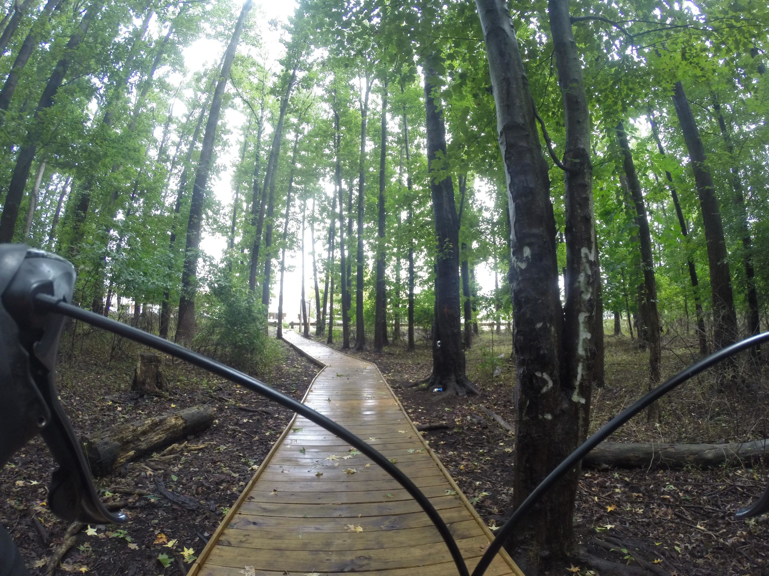 A wooden pathway meanders through a lush green forest, surrounded by tall trees with dense foliage. The perspective is from a low angle, showing part of a bike handlebar in the foreground, leading the viewer down the path towards a brighter opening in the distance. Arden Heights Woods mountain bike trail.