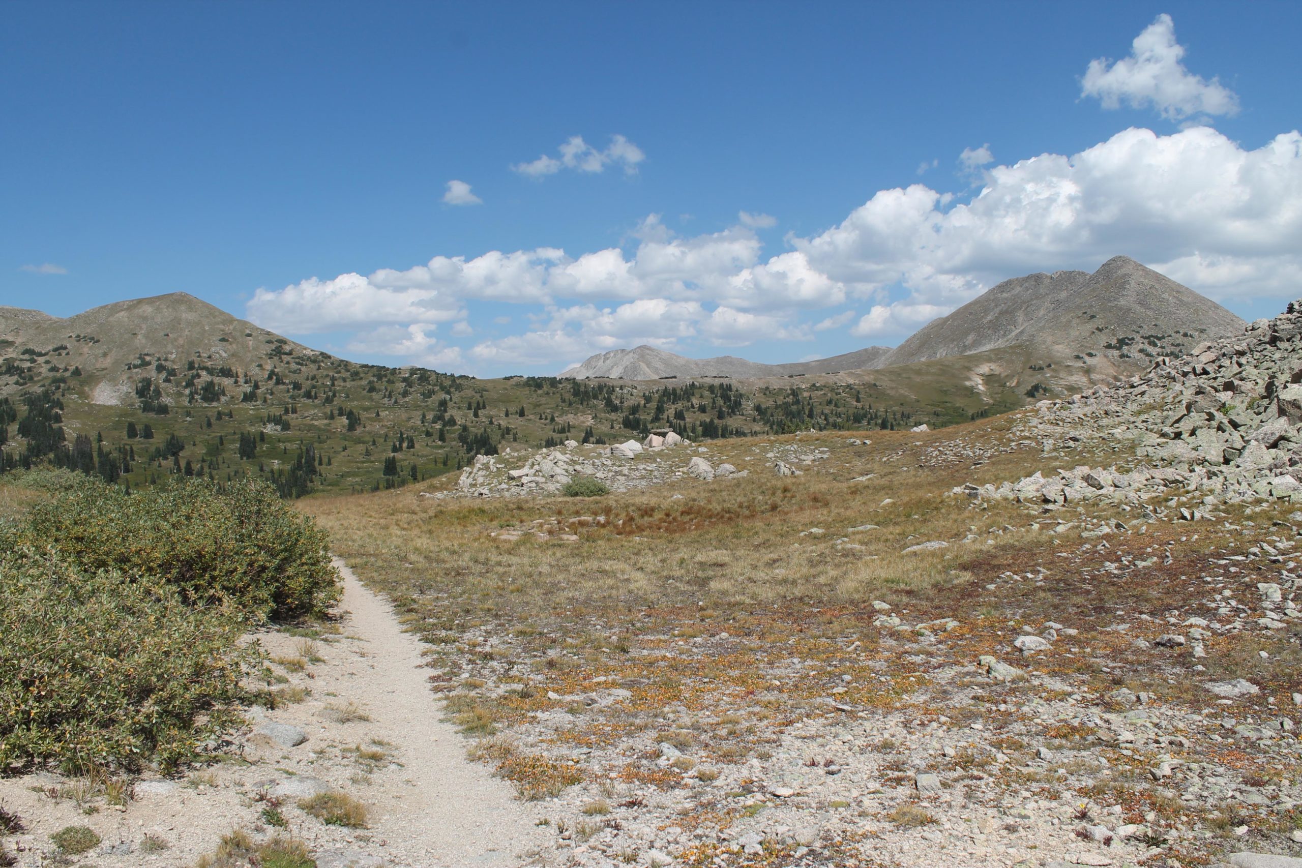 A scenic view of a mountainous landscape featuring rolling hills, lush greenery, and a clear blue sky with scattered clouds. A dirt path winds through the foreground, leading into the expansive terrain filled with rocky outcrops and areas of vegetation. CDT: Tunnel Lake mountain bike trail.