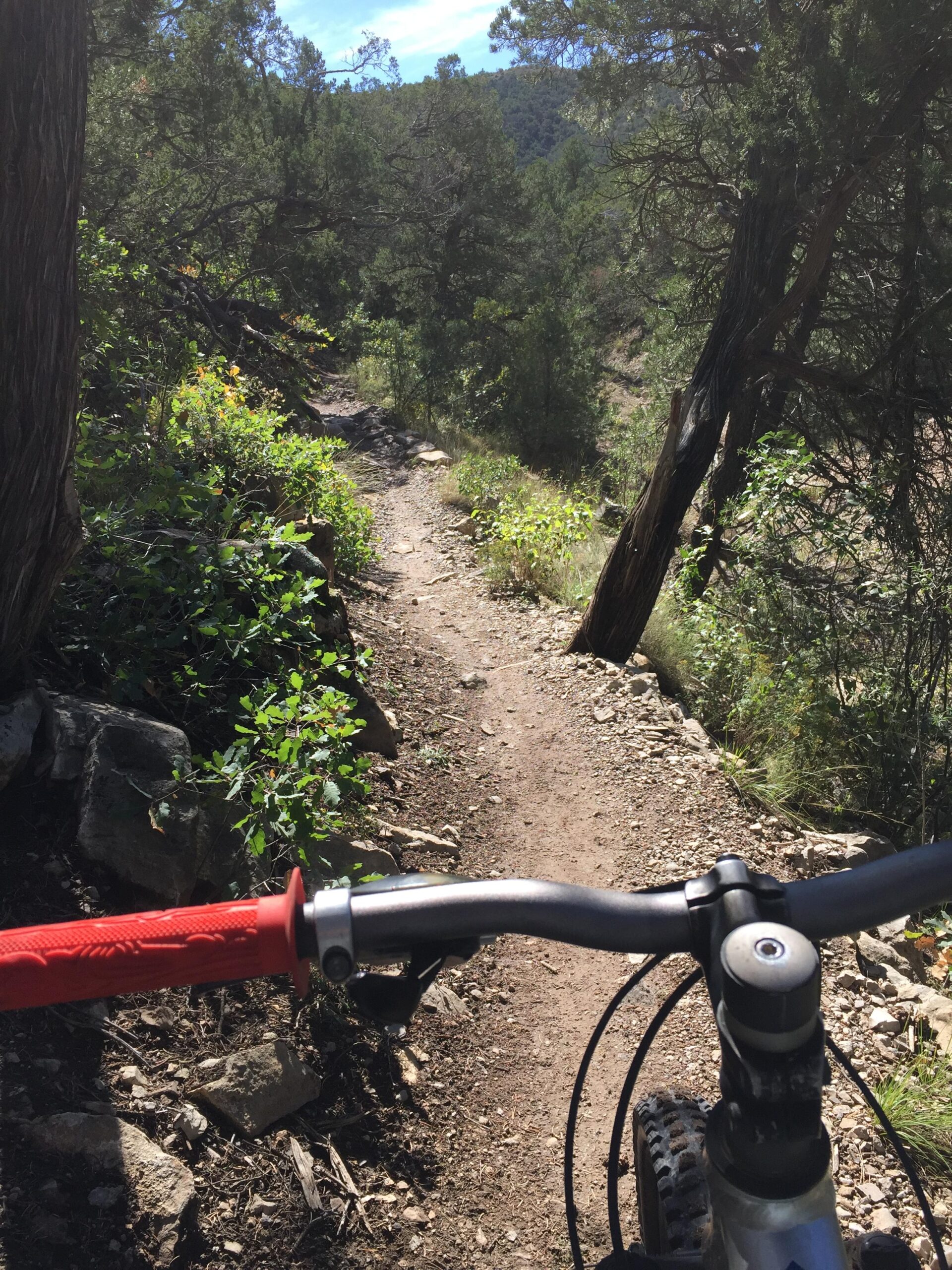 Gary Fisher Tarpon: A mountain biking perspective showing the handlebars of a bike with red grips, along a narrow dirt trail surrounded by greenery and trees. The path winds into the distance, leading through a forested area.