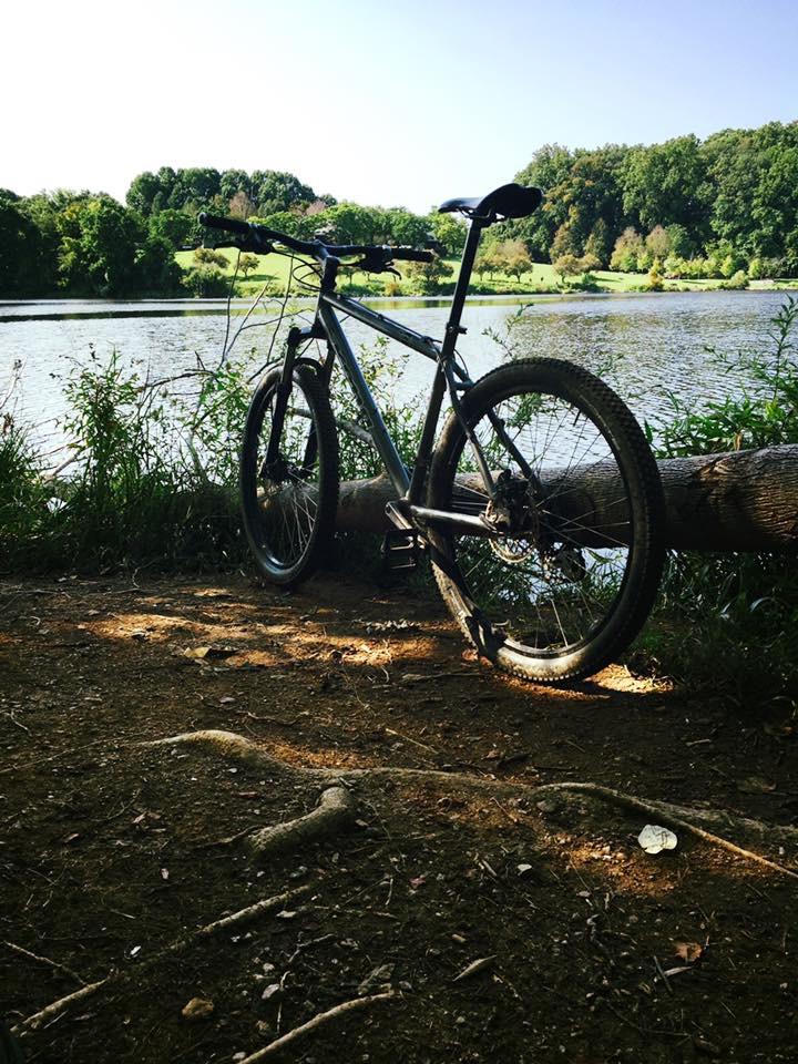 A mountain bike leaning against a log near a serene lake, surrounded by greenery and trees under a clear blue sky. The scene captures the natural beauty of the outdoors. Centennial Park mountain bike trail.