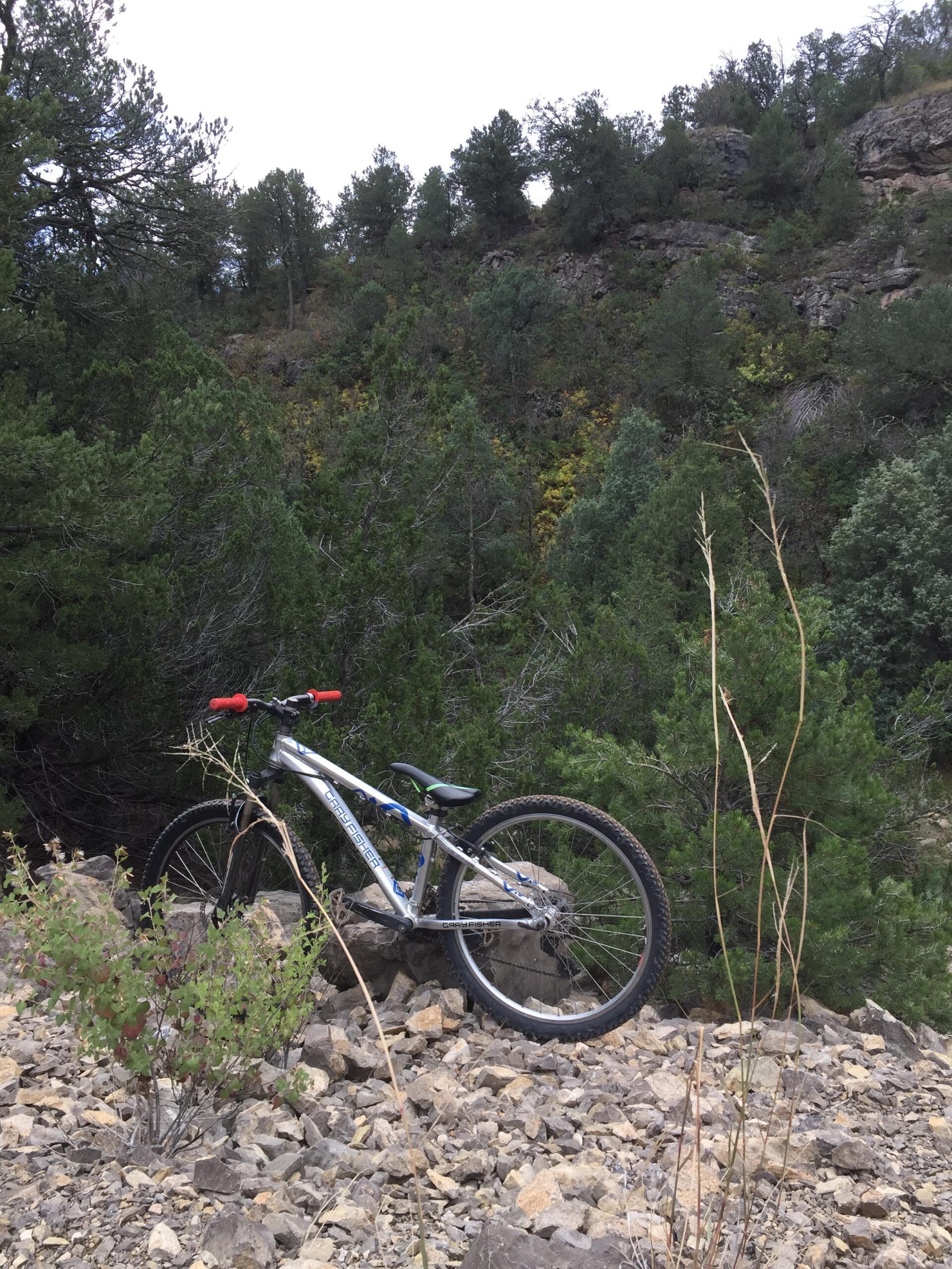 Gary Fisher Tarpon: A mountain bike resting on a rocky area, surrounded by greenery and trees in a natural outdoor setting. The bike features a metallic frame with red handle grips and is positioned at an angle, with a backdrop of rugged terrain and dense foliage.