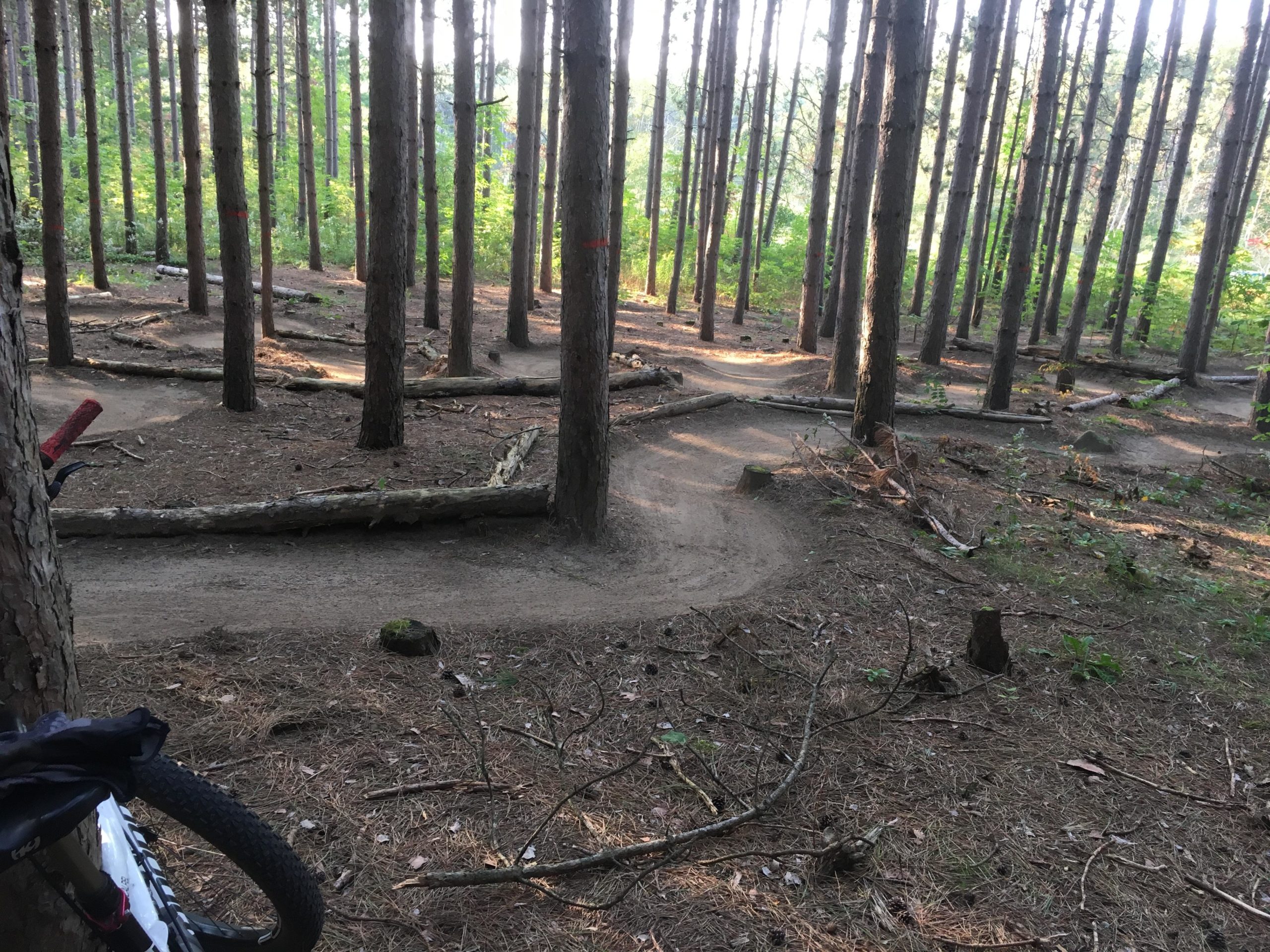 A winding dirt bike trail through a dense forest of tall pine trees, with patches of sunlight filtering through the foliage. The ground is covered in pine needles and scattered with fallen branches, and a mountain bike is partially visible on the left side of the image. Dufferin County mountain bike trail.