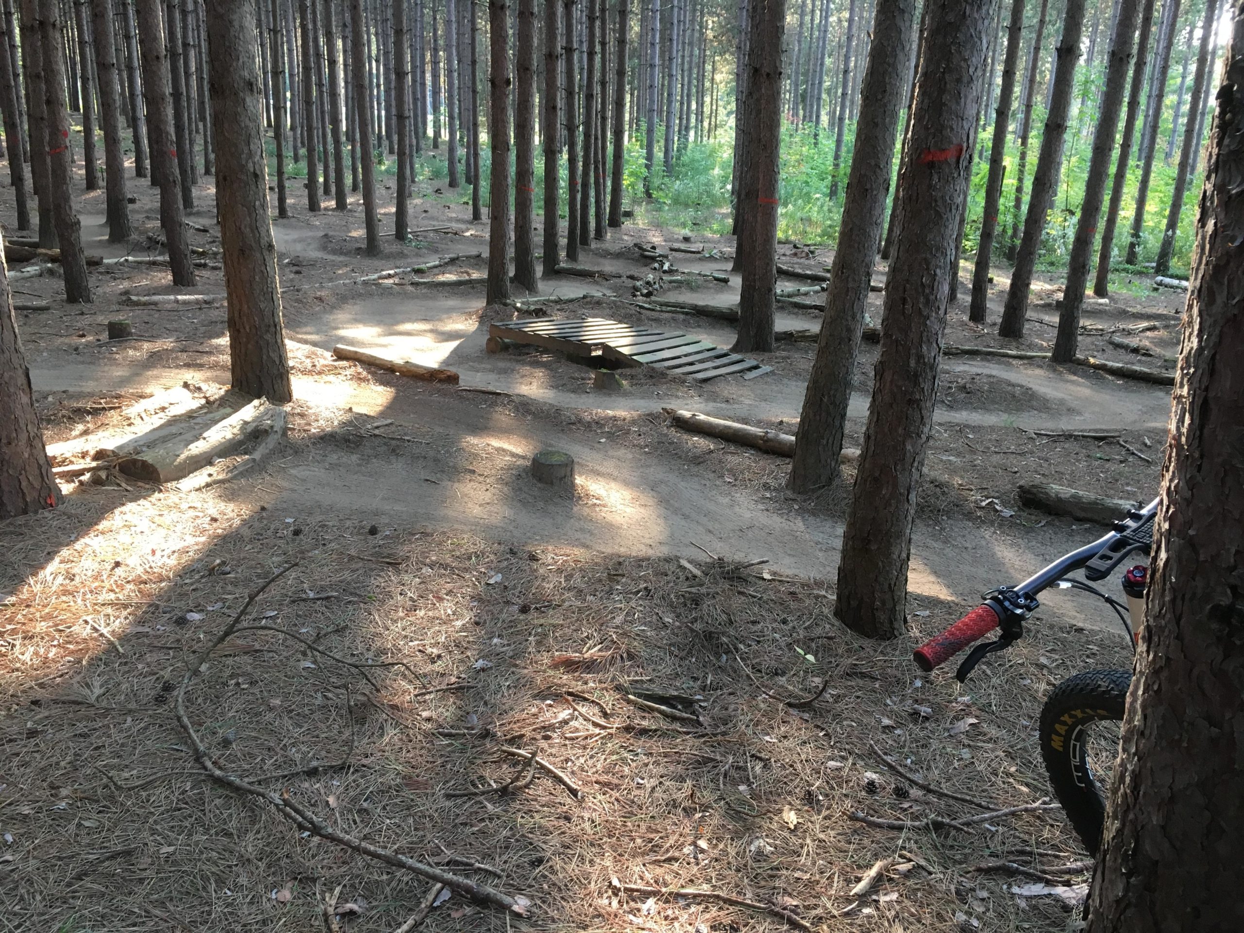 A wooded area with tall pine trees, featuring a dirt bike trail that winds through the forest. The trail includes a wooden ramp and is surrounded by fallen logs and a layer of pine needles on the ground. Sunlight filters through the trees, creating a dappled effect on the trail. A mountain bike is partially visible on the right side of the image. Dufferin County mountain bike trail.