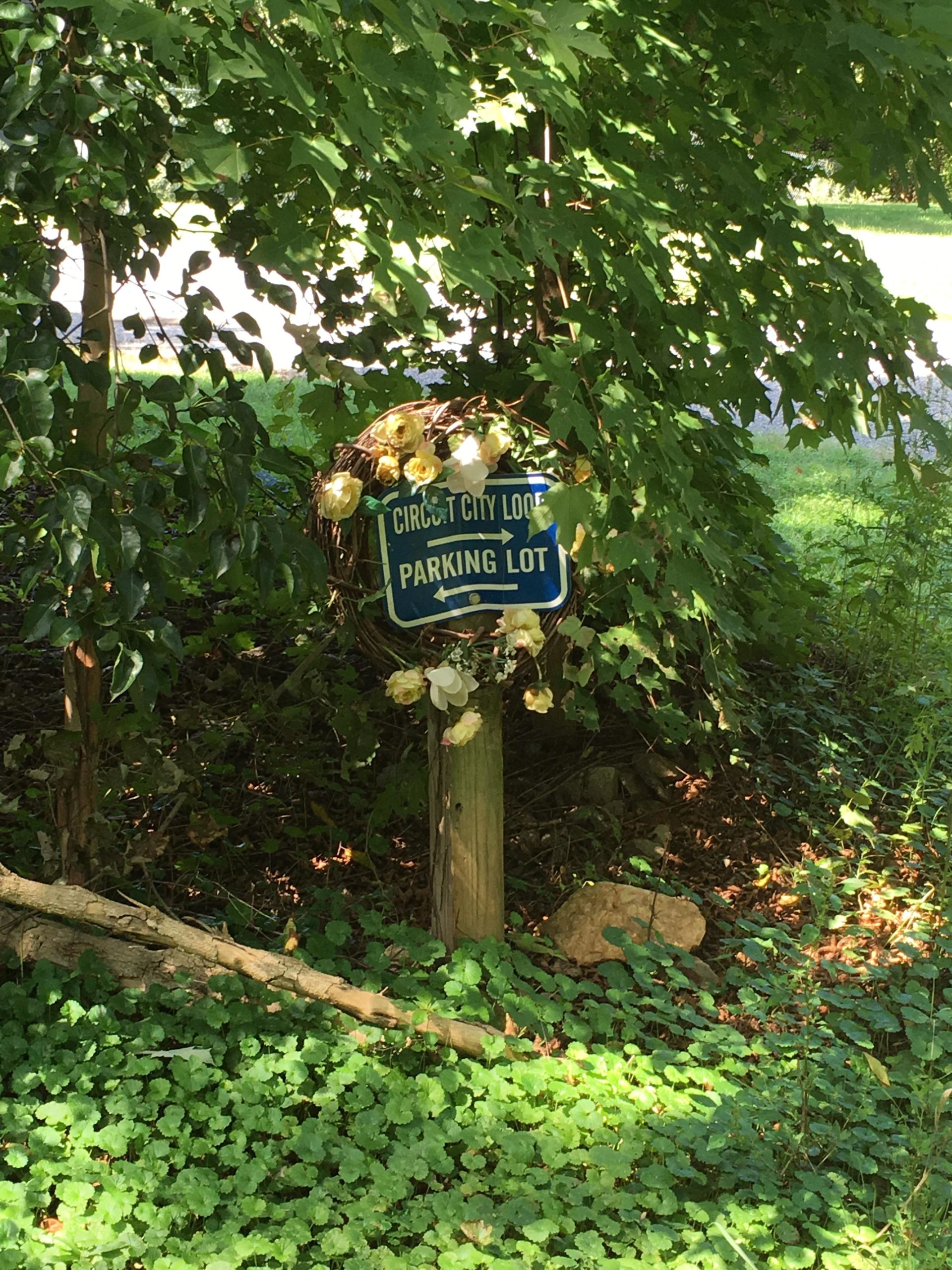 A weathered parking lot sign partially obscured by foliage, indicating "Circuit City Lot" with arrows pointing left and right, surrounded by green ground cover and sunlight filtering through leaves. Signal Hill mountain bike trail.