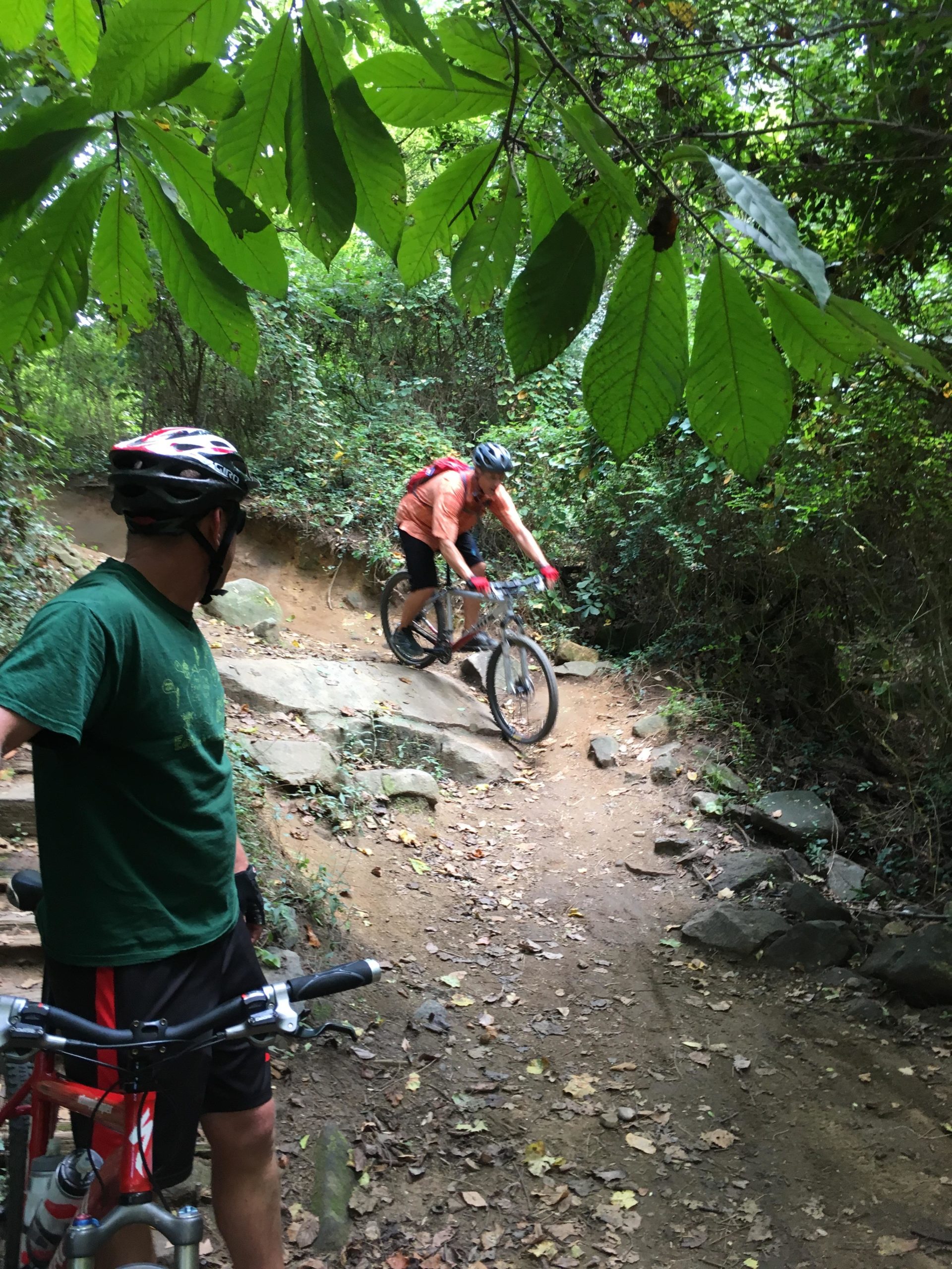 Two mountain bikers are on a wooded trail. One rider, wearing an orange shirt and a helmet, is navigating a rocky section of the path. The other rider, in a green shirt and helmet, is standing next to his bike, observing the trail. The surroundings are lush with greenery, and the ground is covered in leaves and dirt. Buttermilk mountain bike trail.